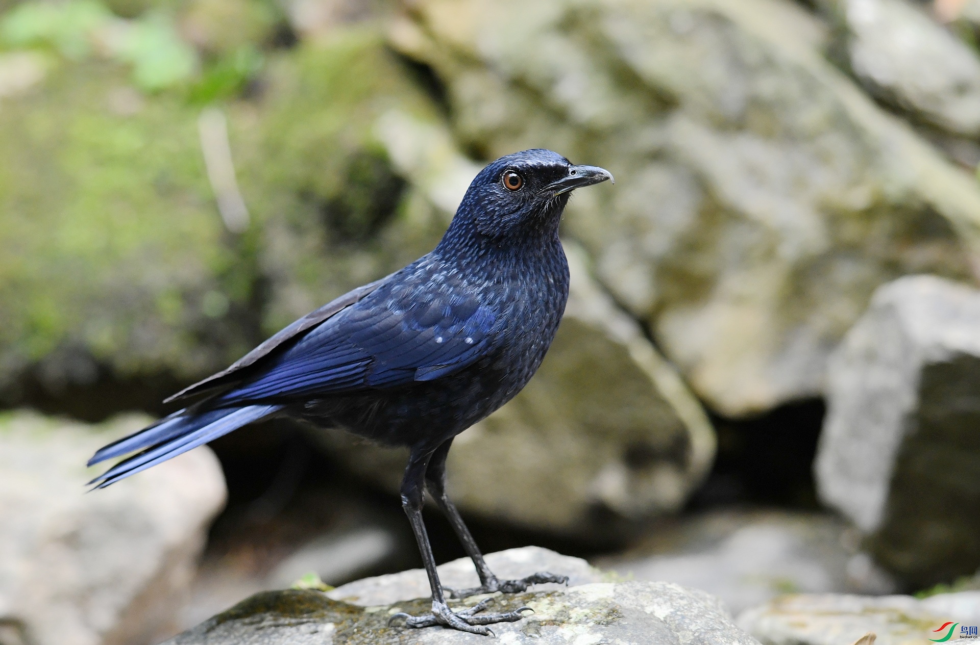 DSC_5710.jpg