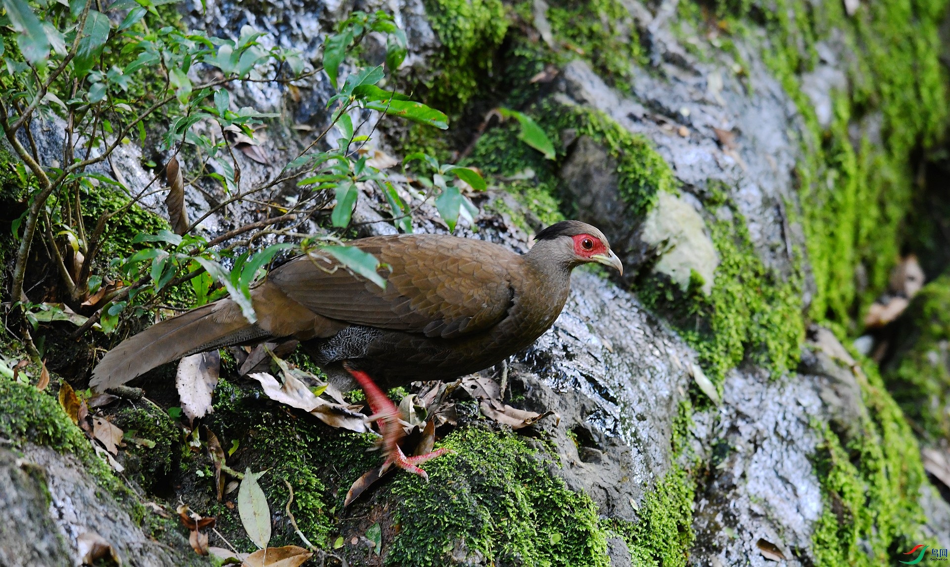 DSC_3772.jpg