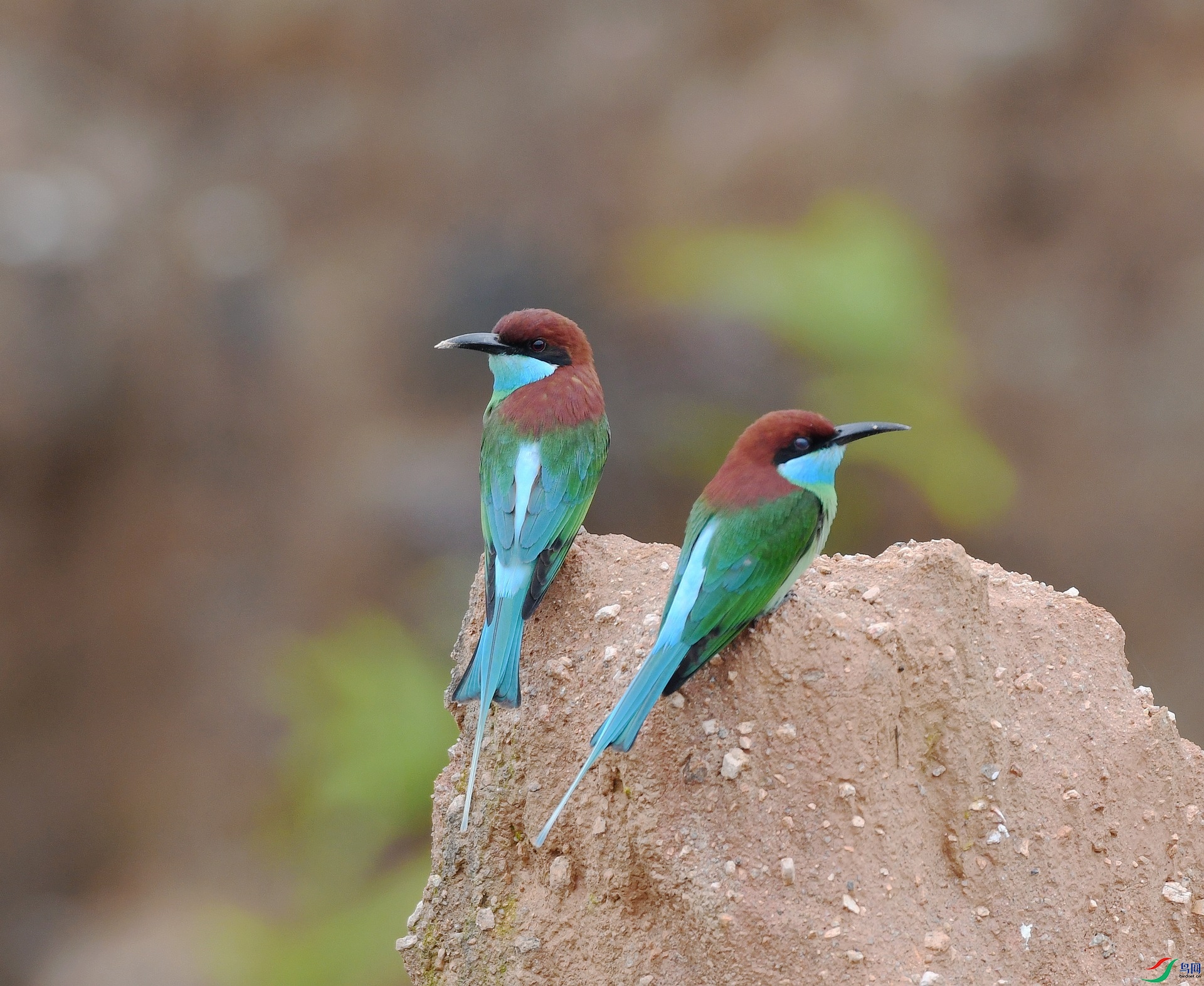 DSC_0913.jpg