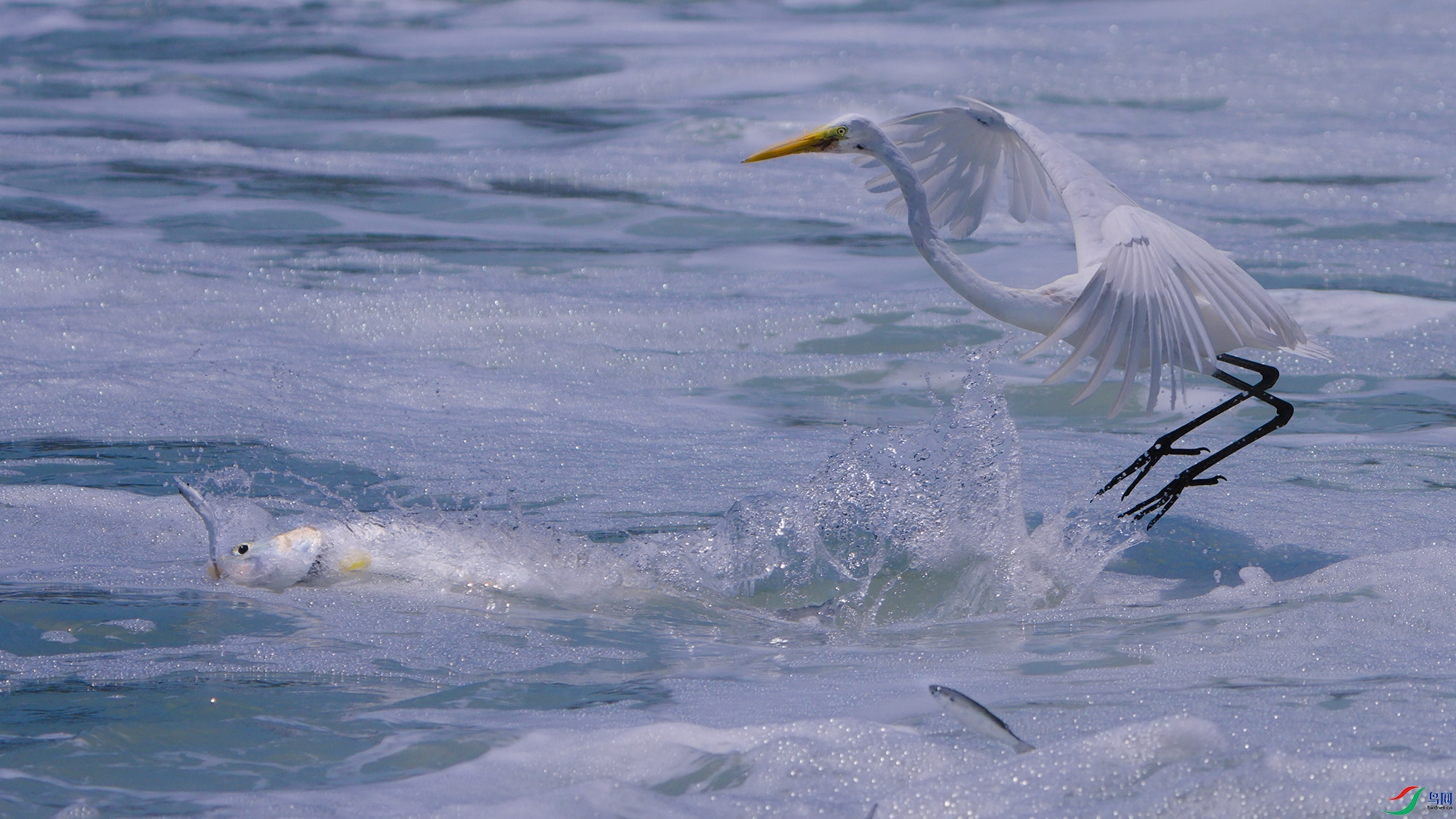 DSC03143.jpg