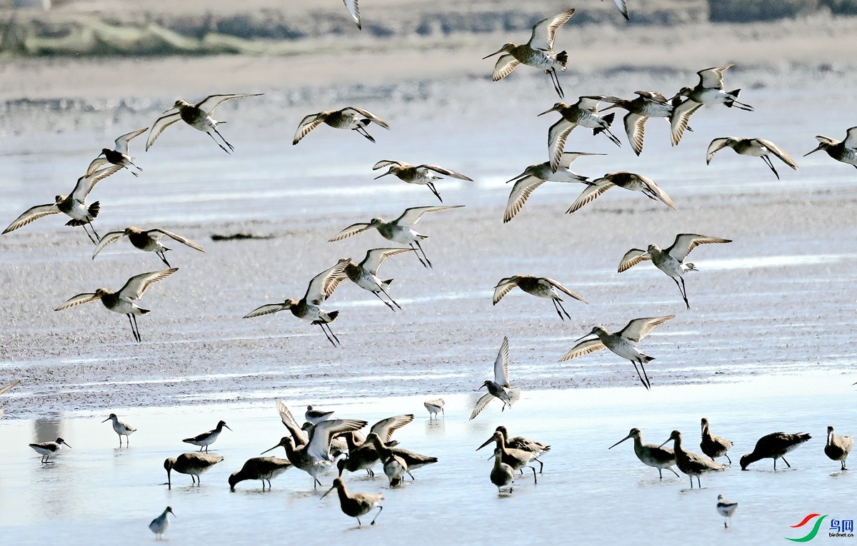 ���ͼ���ʦ��Ʒ��β�����ٻ�2026��5��3�ջ�Ա����.jpg