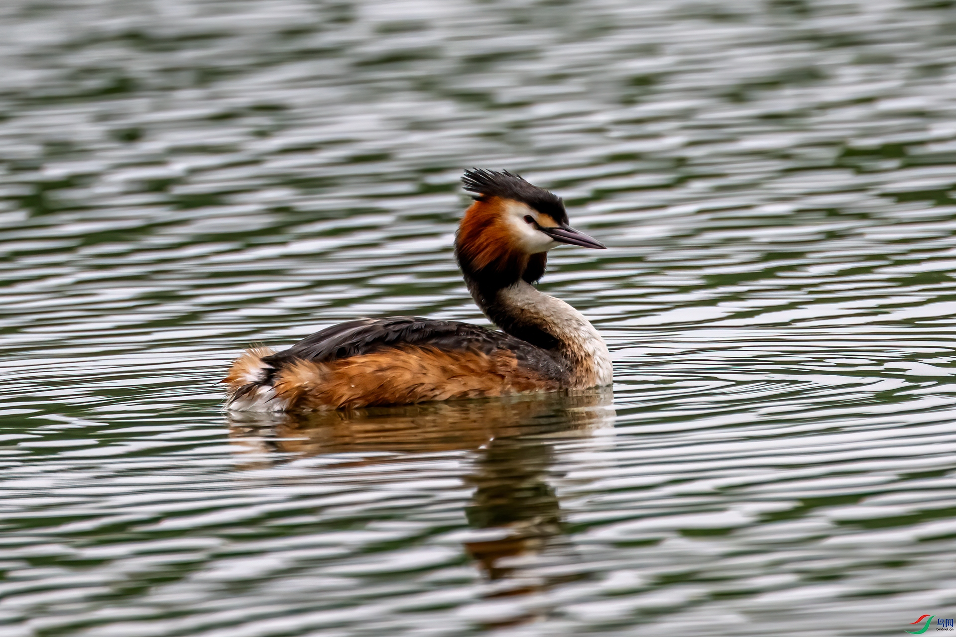 DSC_7255-11.jpg