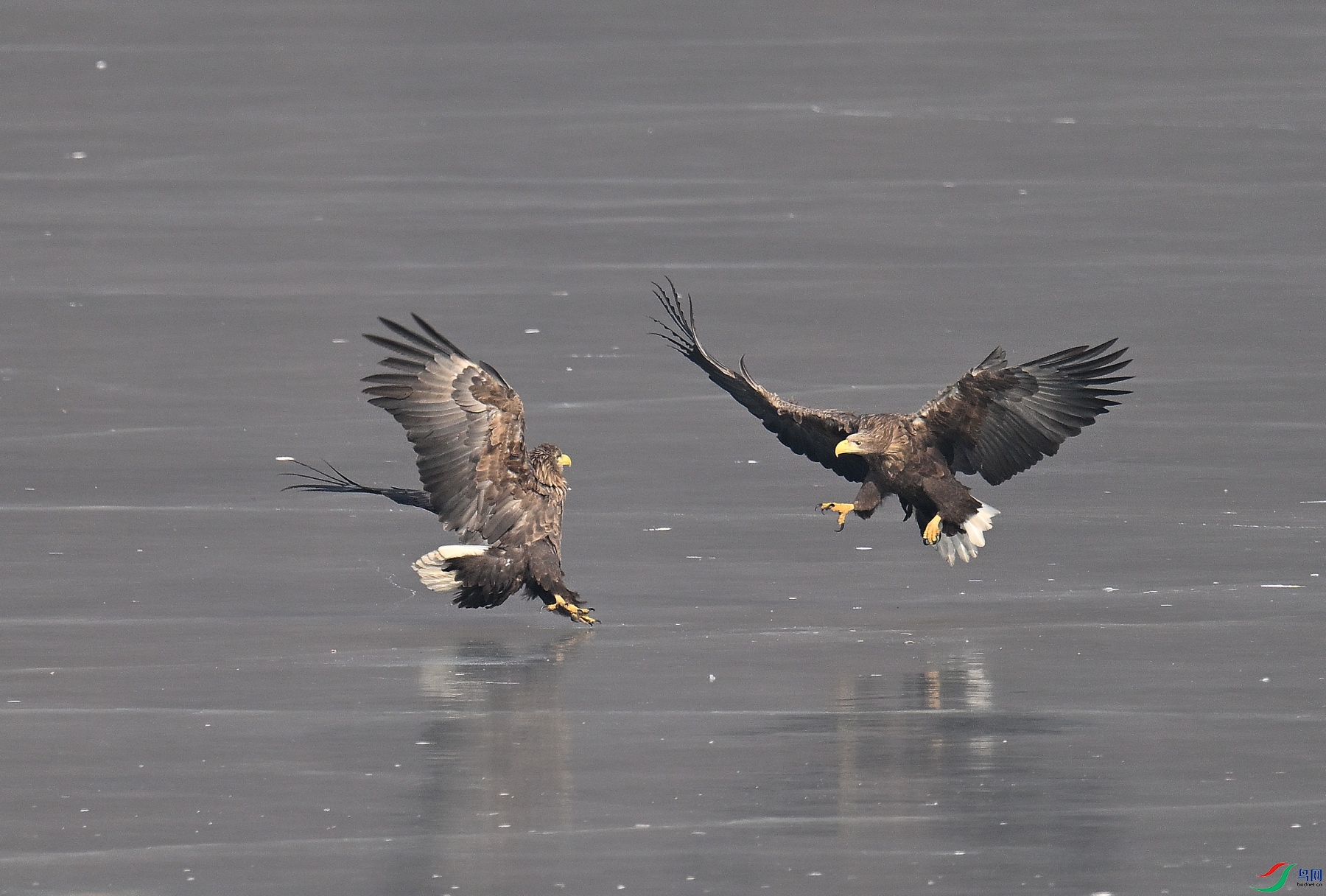 DSC_7973.JPG