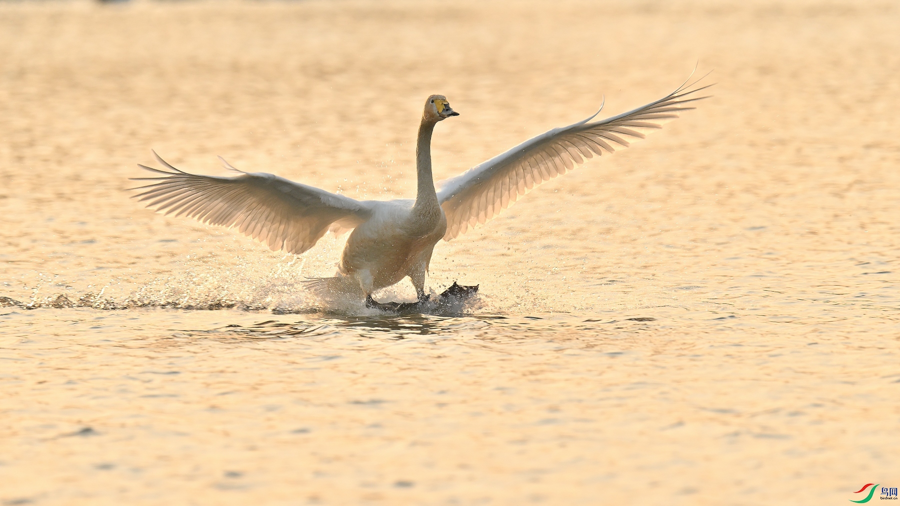 DSC_5940.JPG