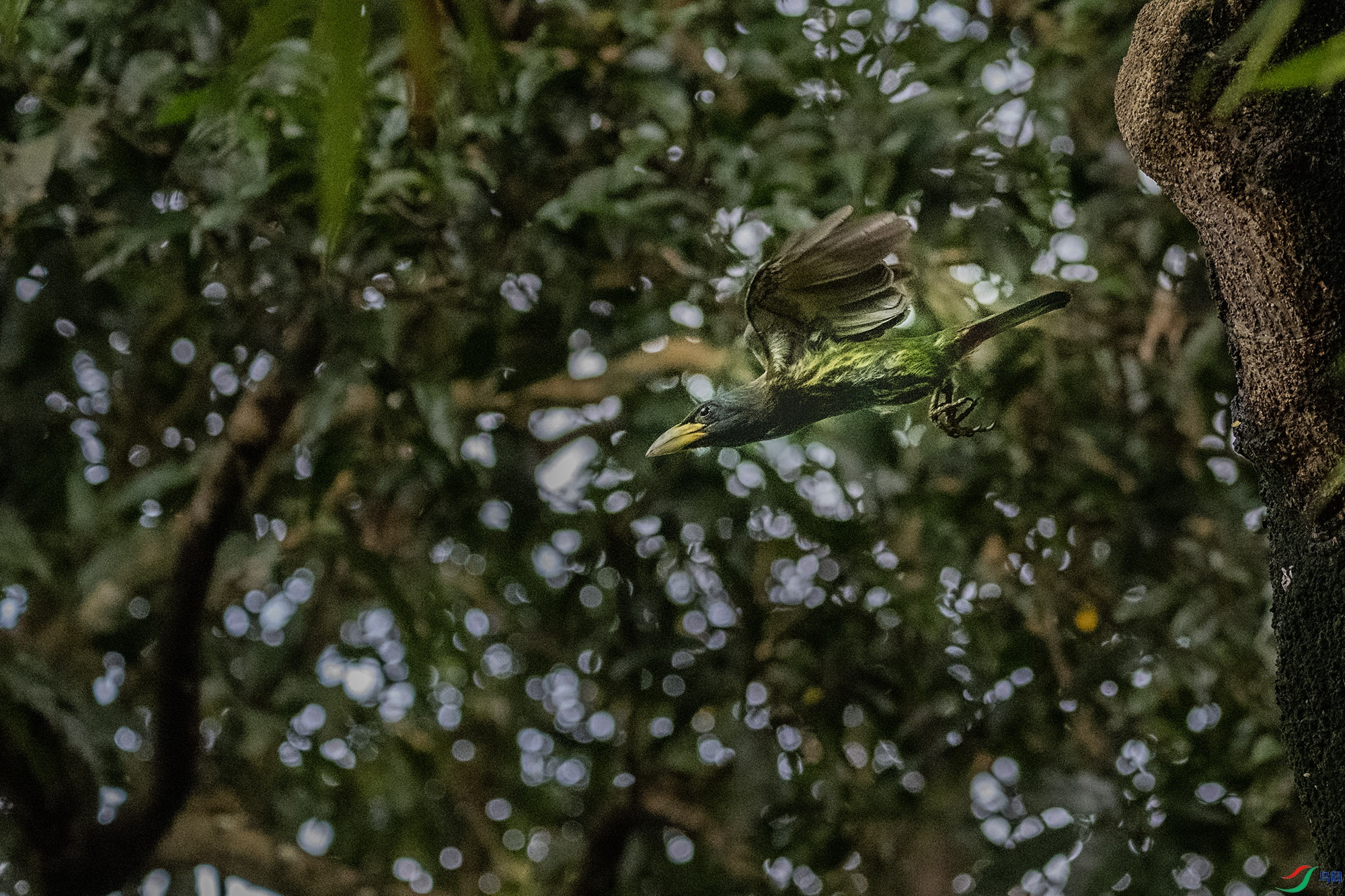 DSC_7076i.jpg