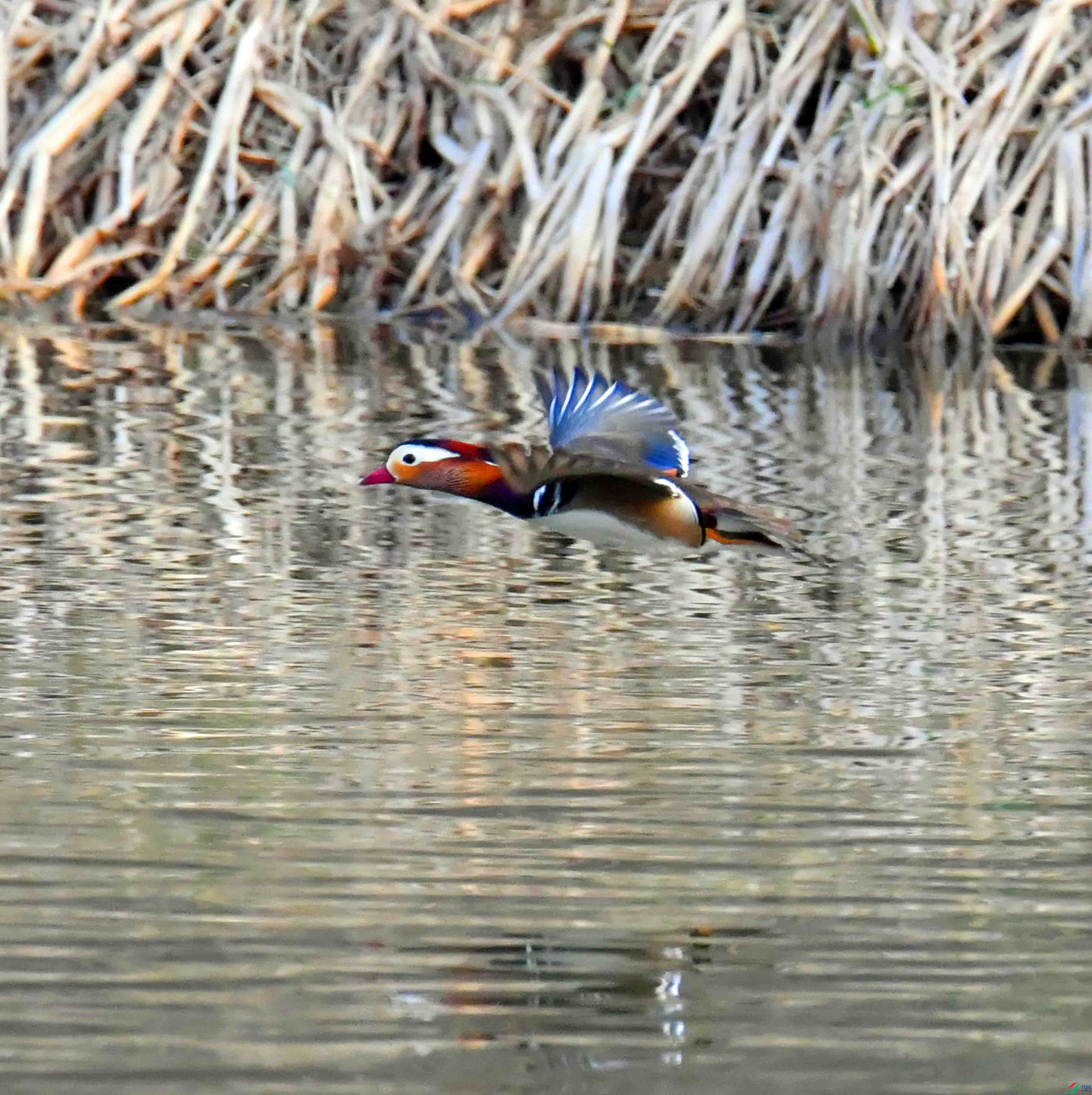 DSC_1208.JPG