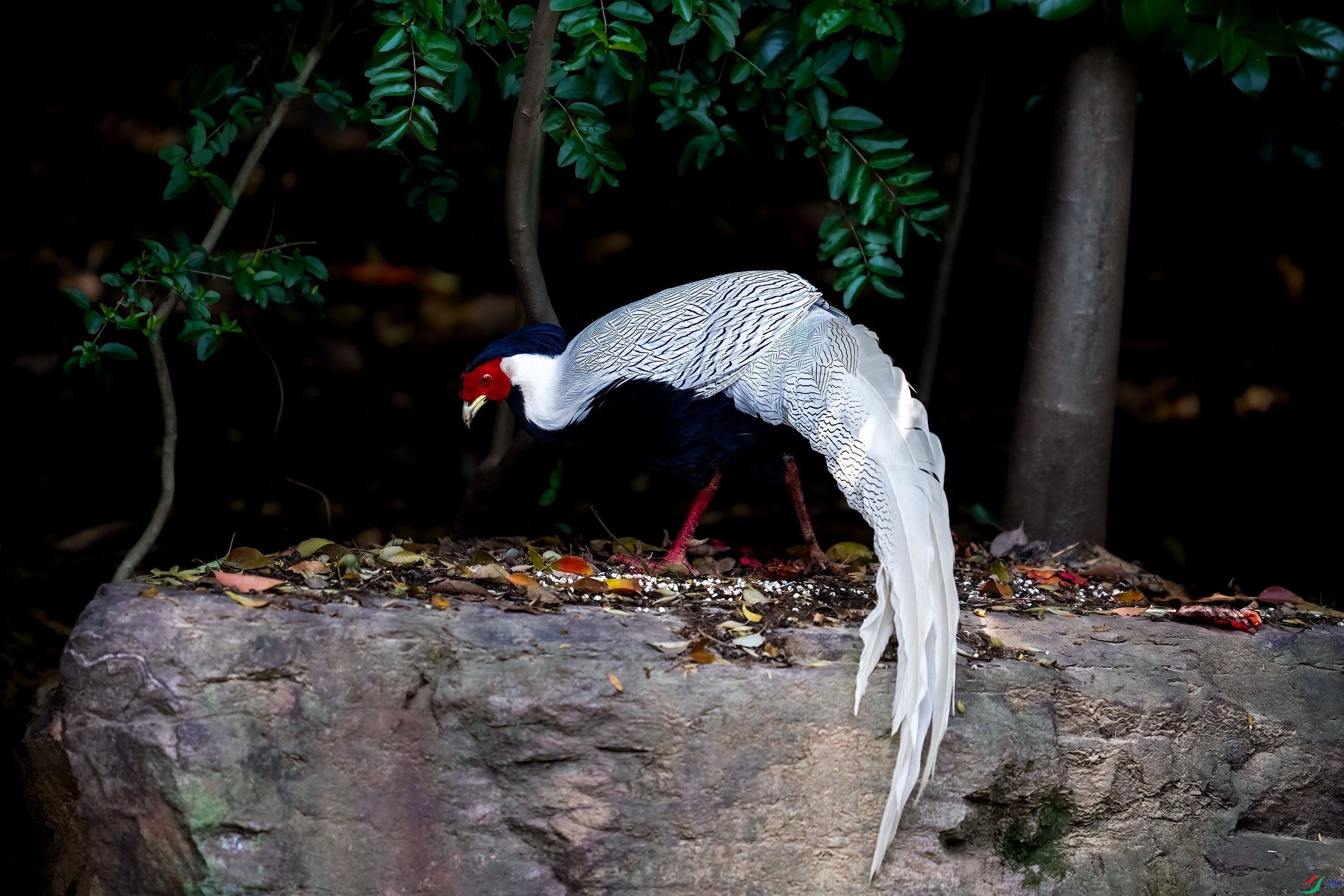 _DSC8560.jpg
