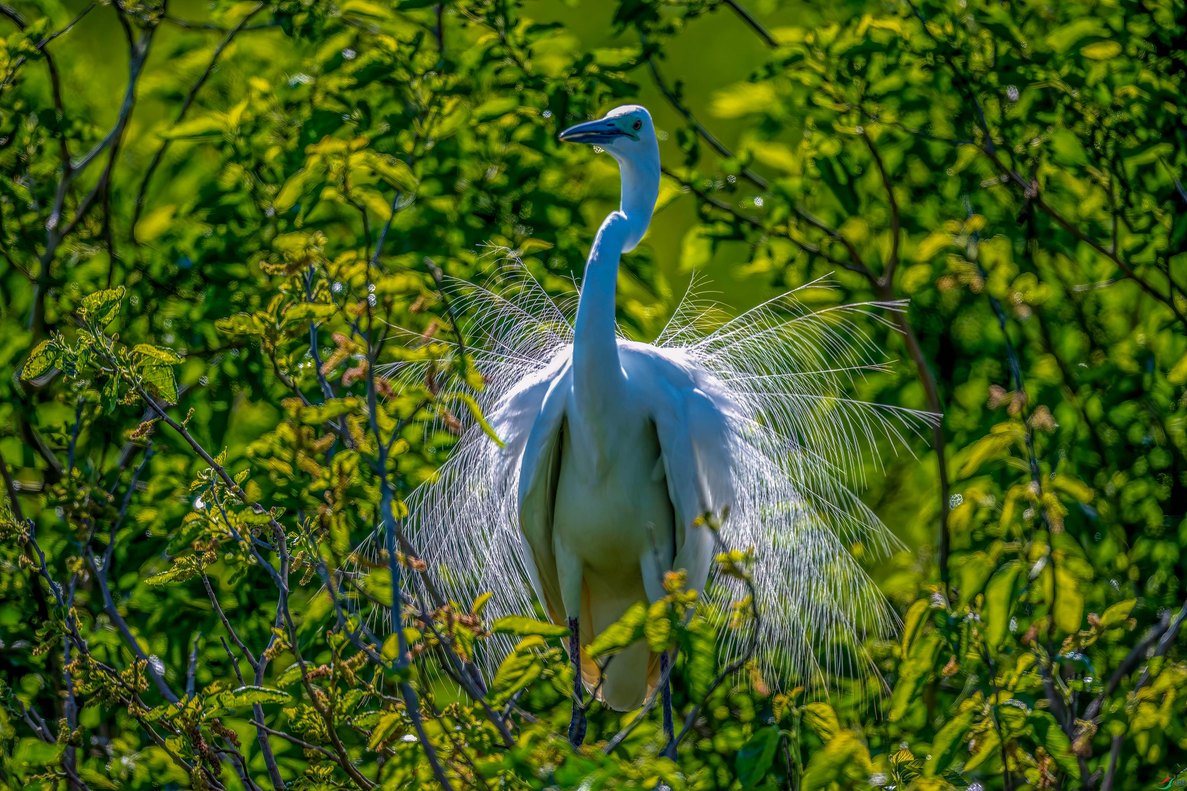 DSC_3398.jpg