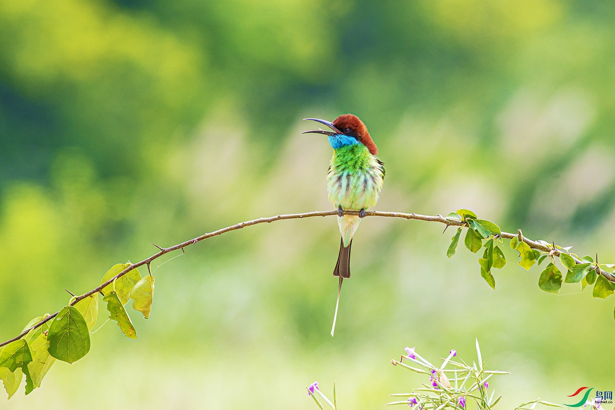 DSC_7617-����ǿ.jpg
