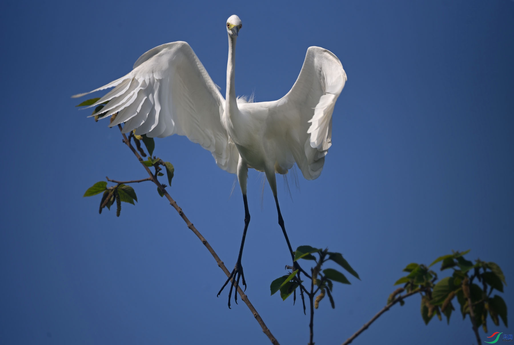 DSC_5741.jpg