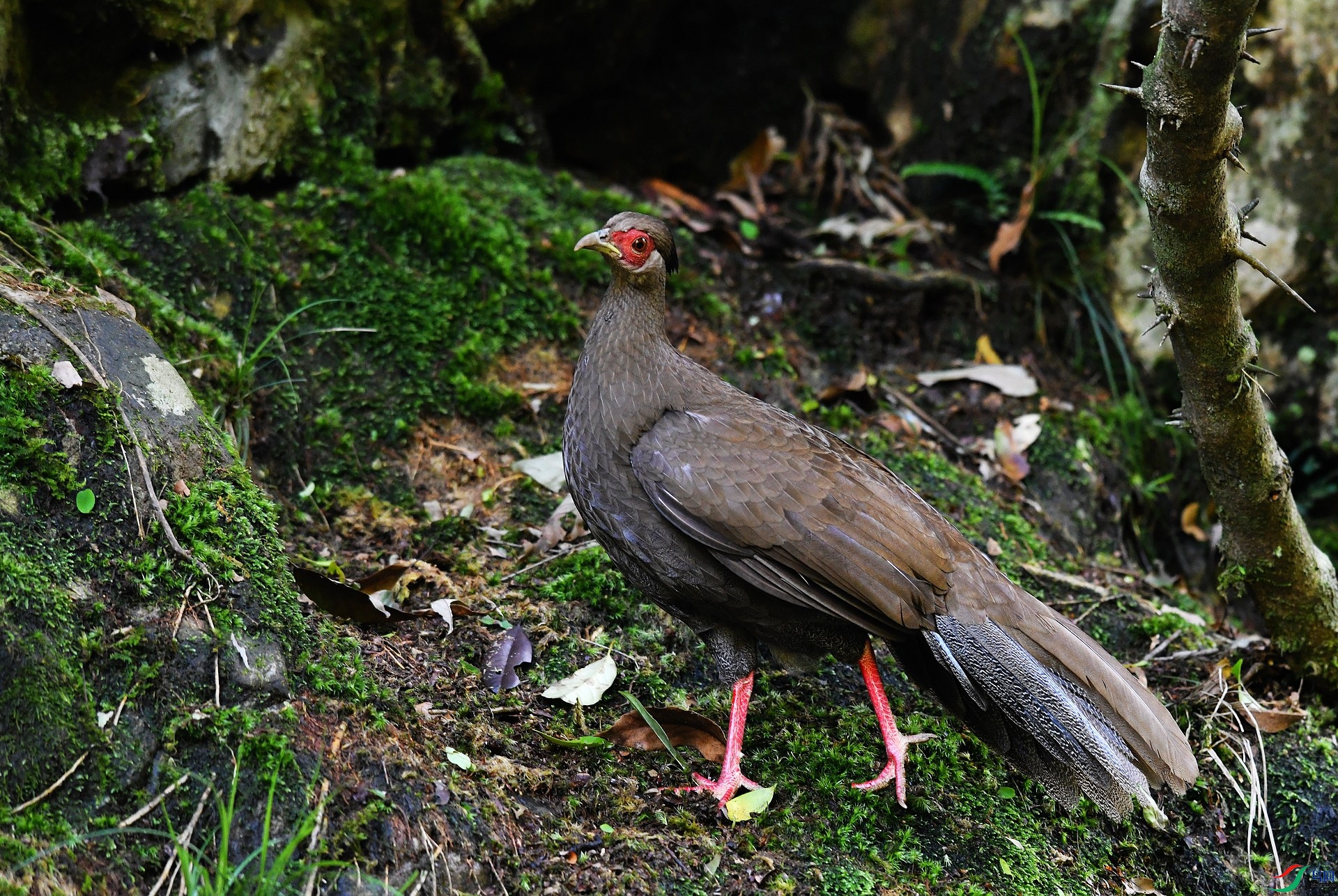 DSC_3751.jpg