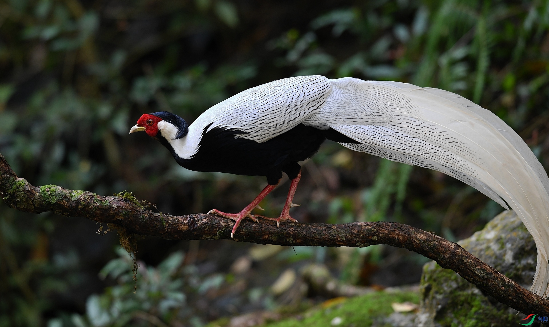 DSC_8812.jpg
