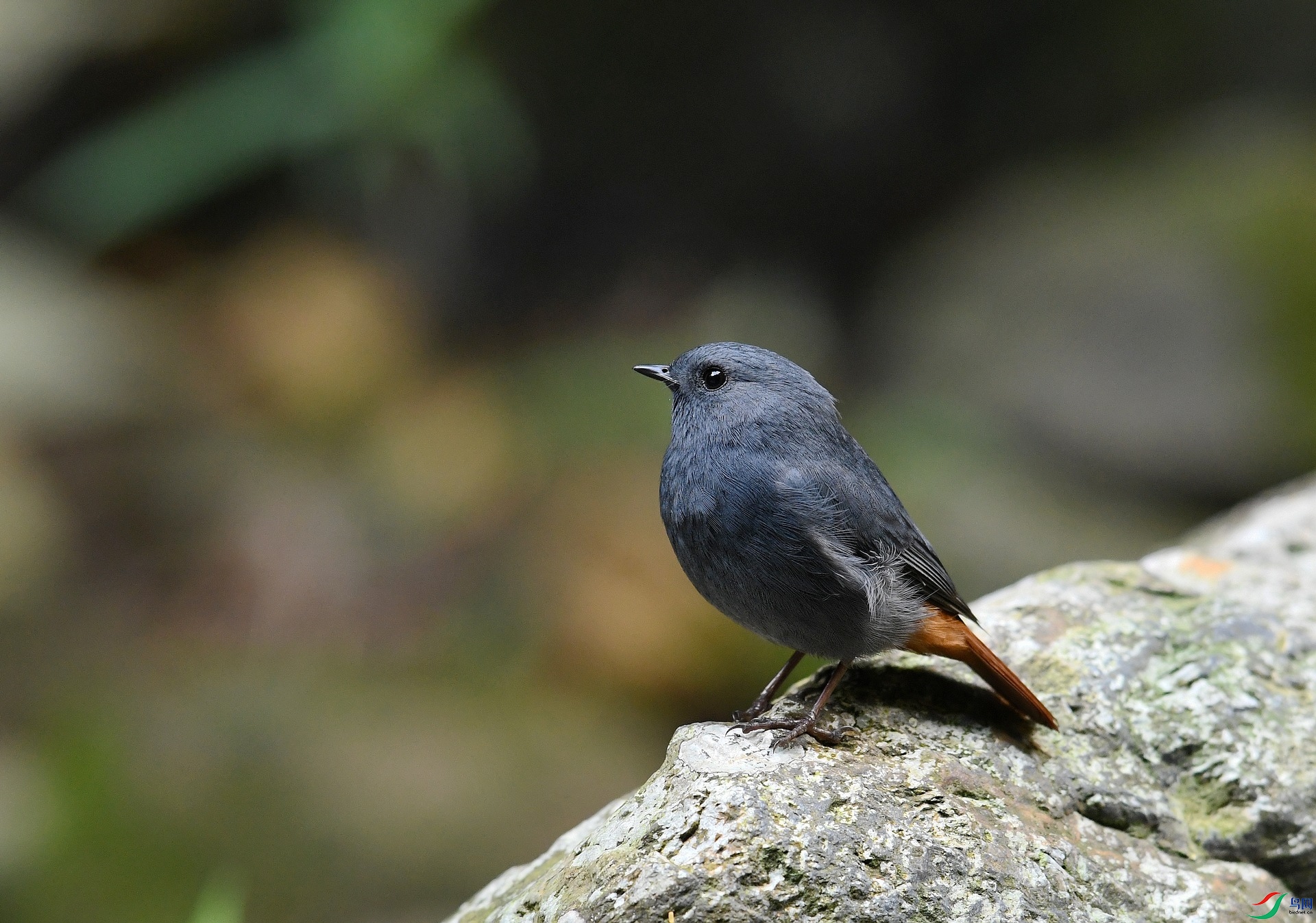 DSC_6688.jpg