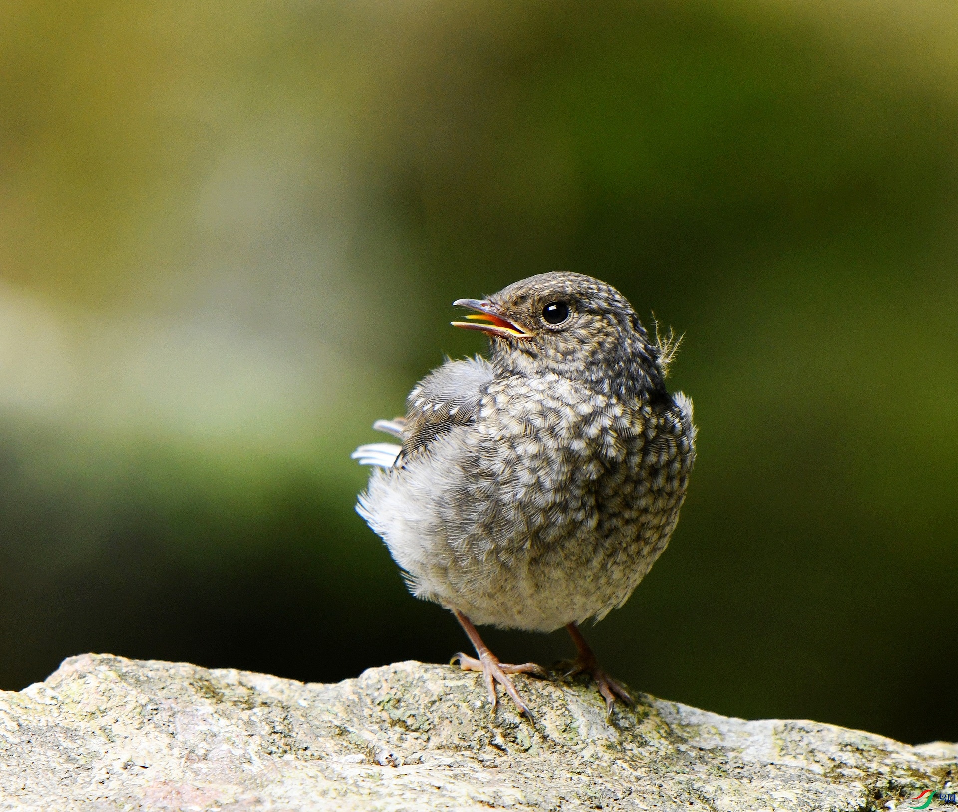 DSC_8174.jpg