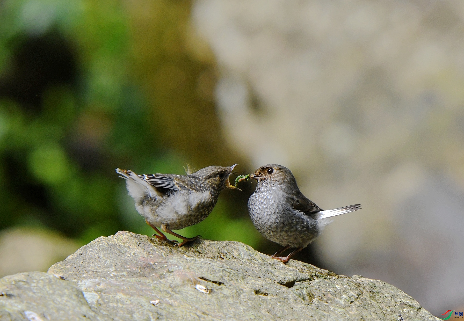 DSC_7720.jpg