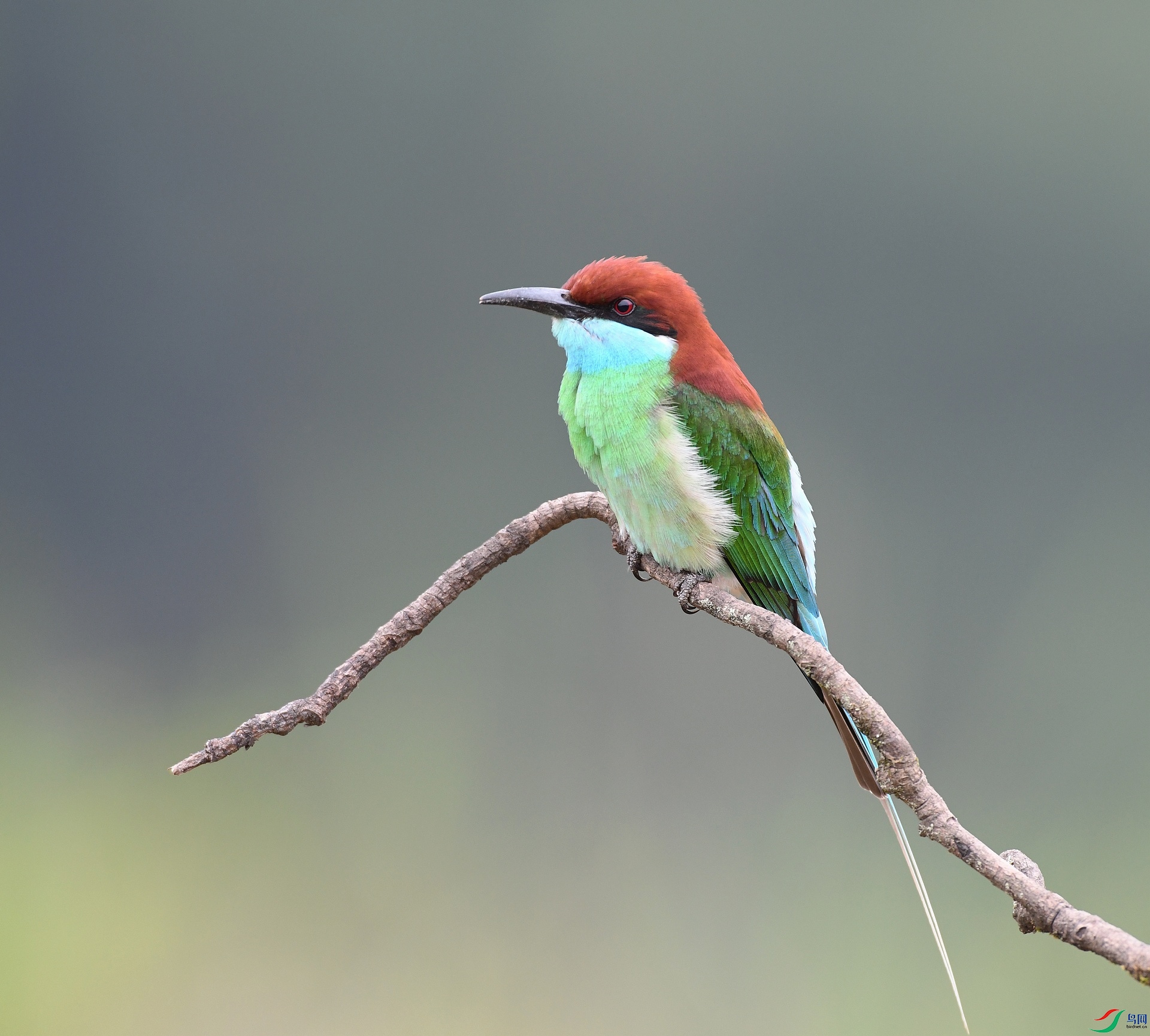 DSC_0597.jpg
