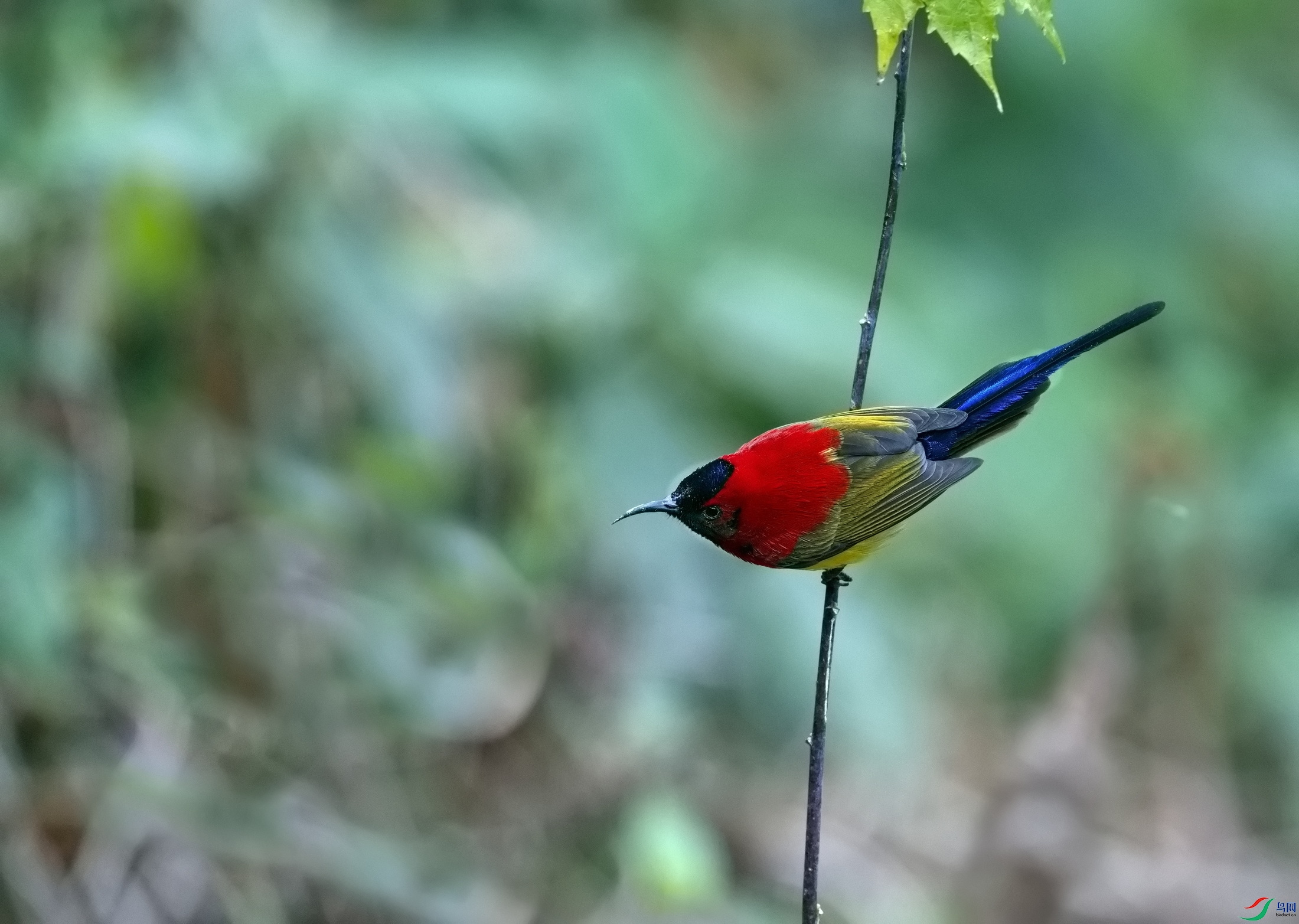�ֻ�ͼƬ (5241)-01.jpg