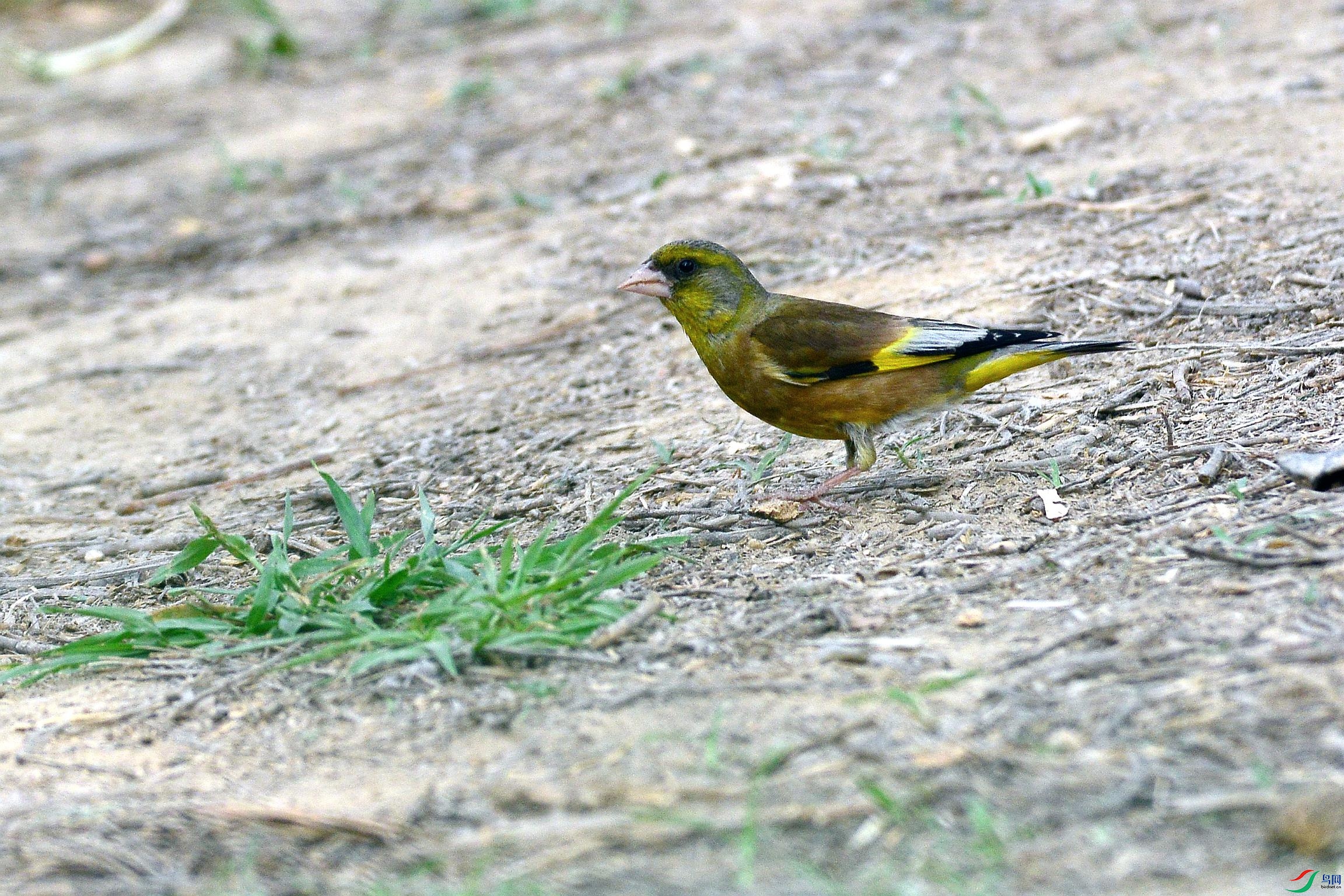 PPN_8452.JPG