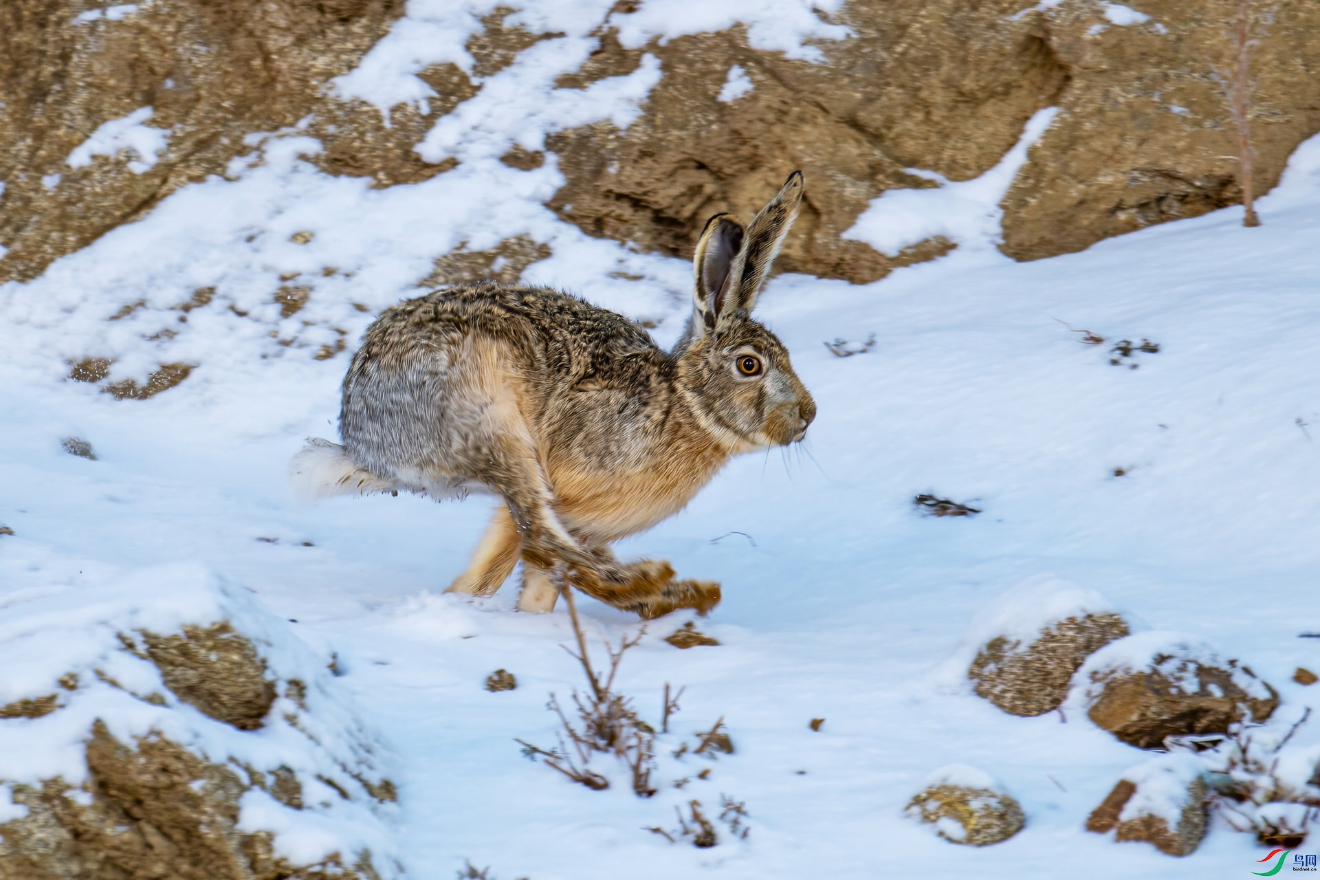 DSC_5765.jpg