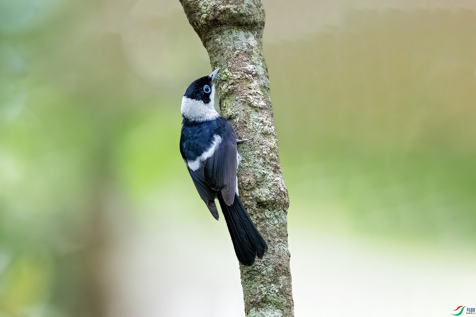 DSC_4222.jpg