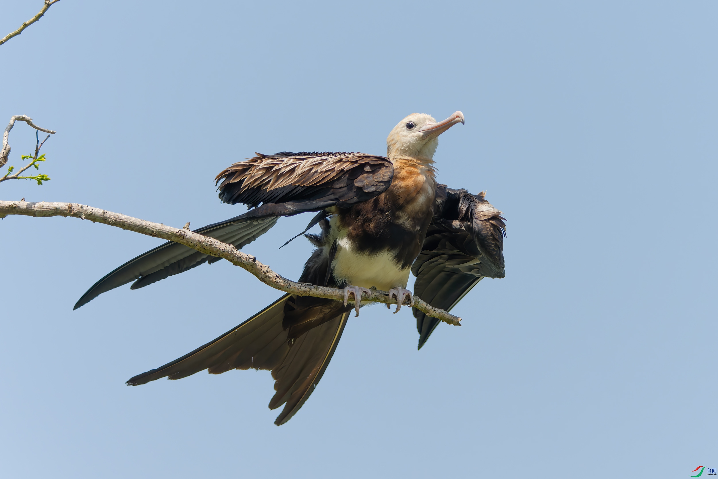 20260425-_DSC9256.jpg