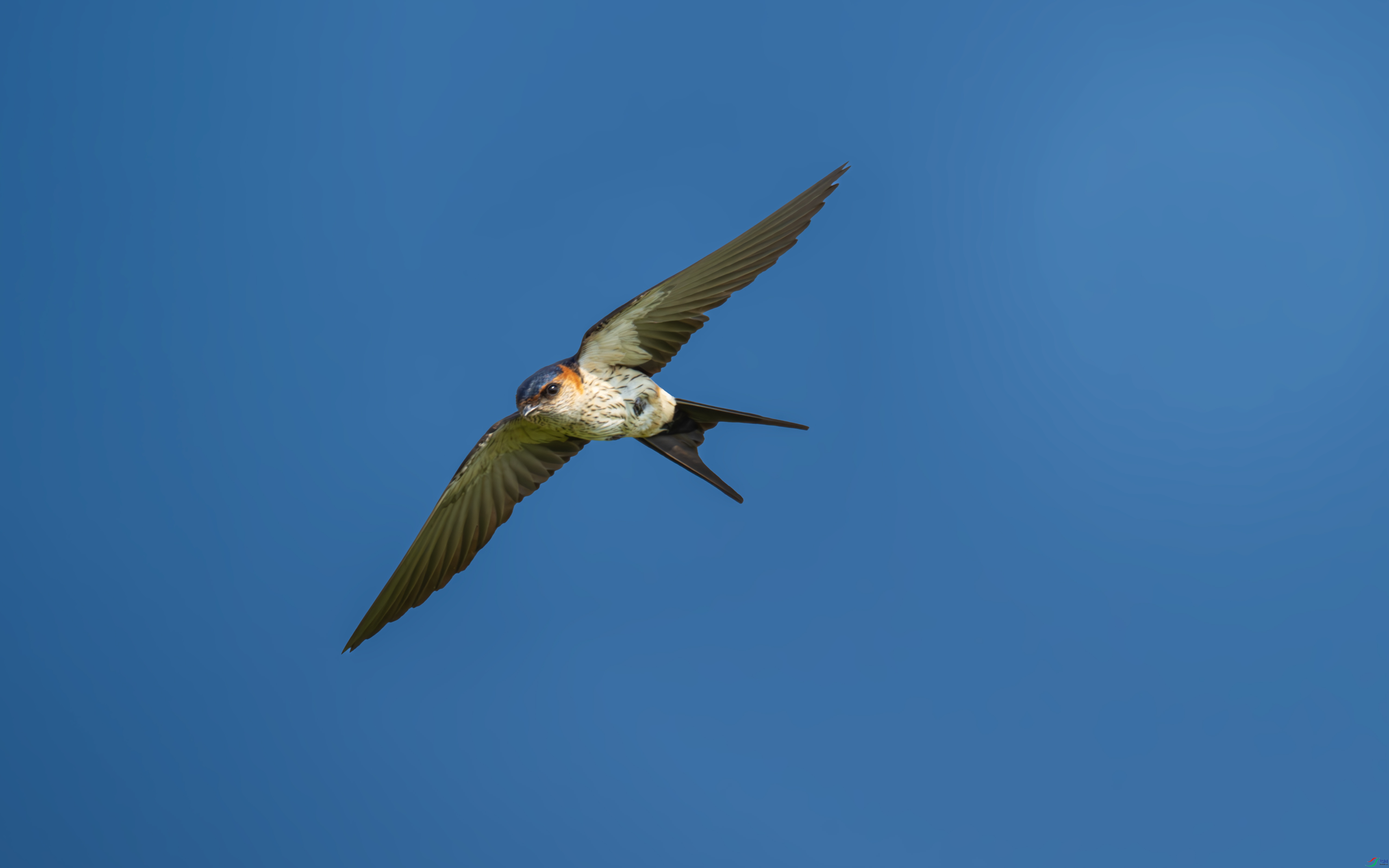 DSC_9743.jpg