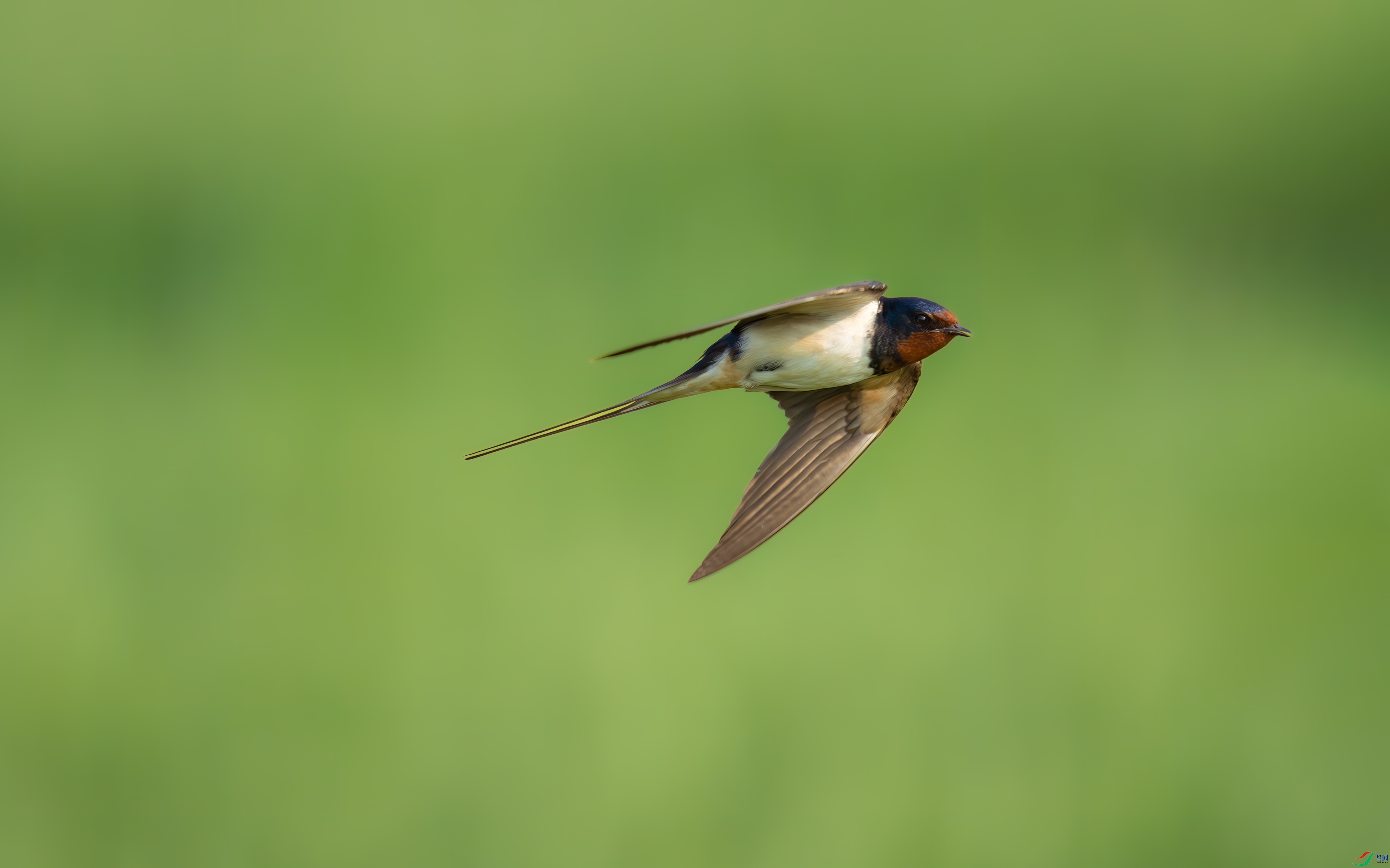 DSC_0454.jpg