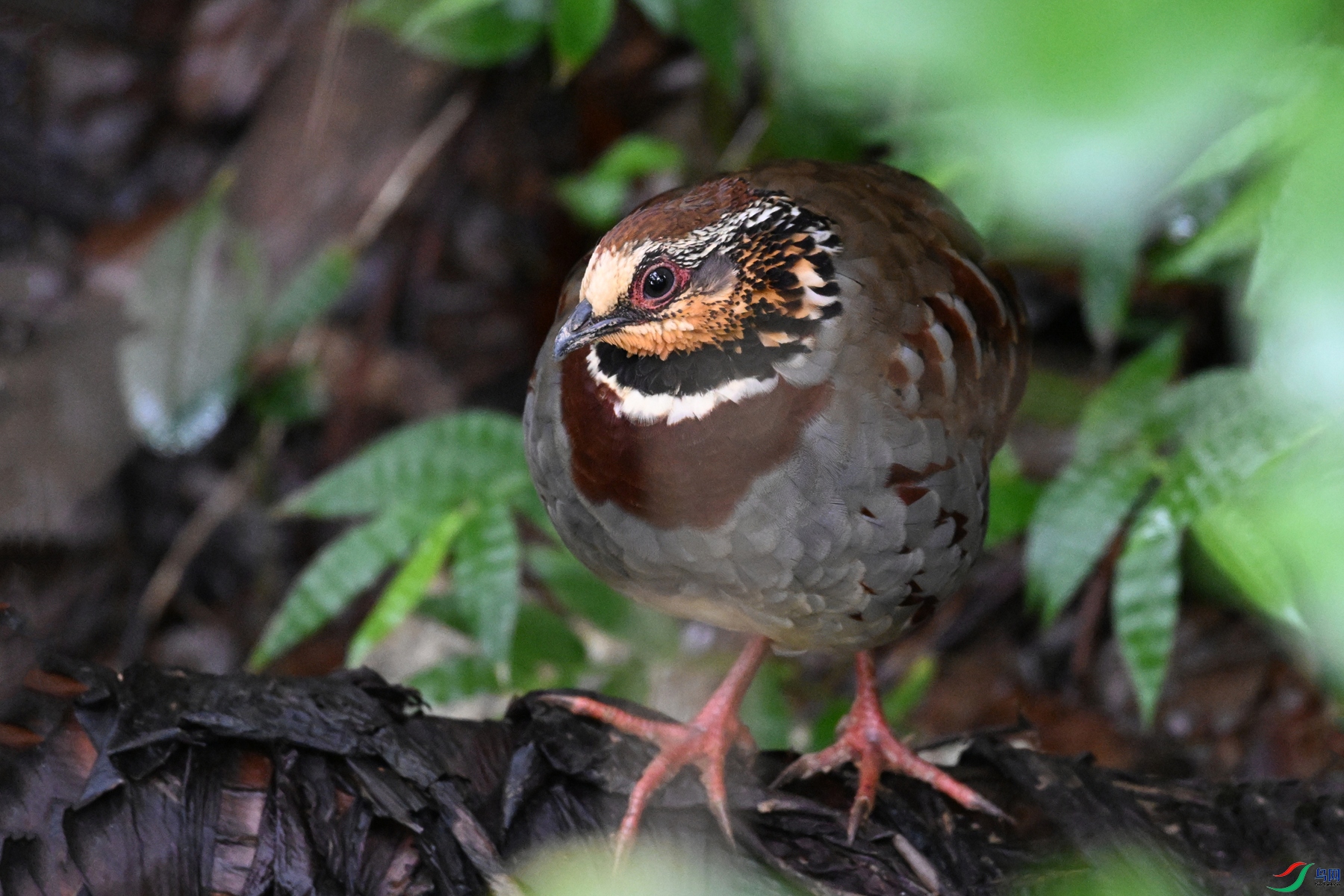 DSC_3684.JPG