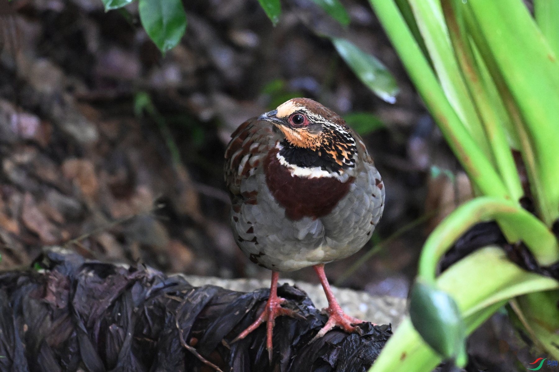 DSC_3719.JPG