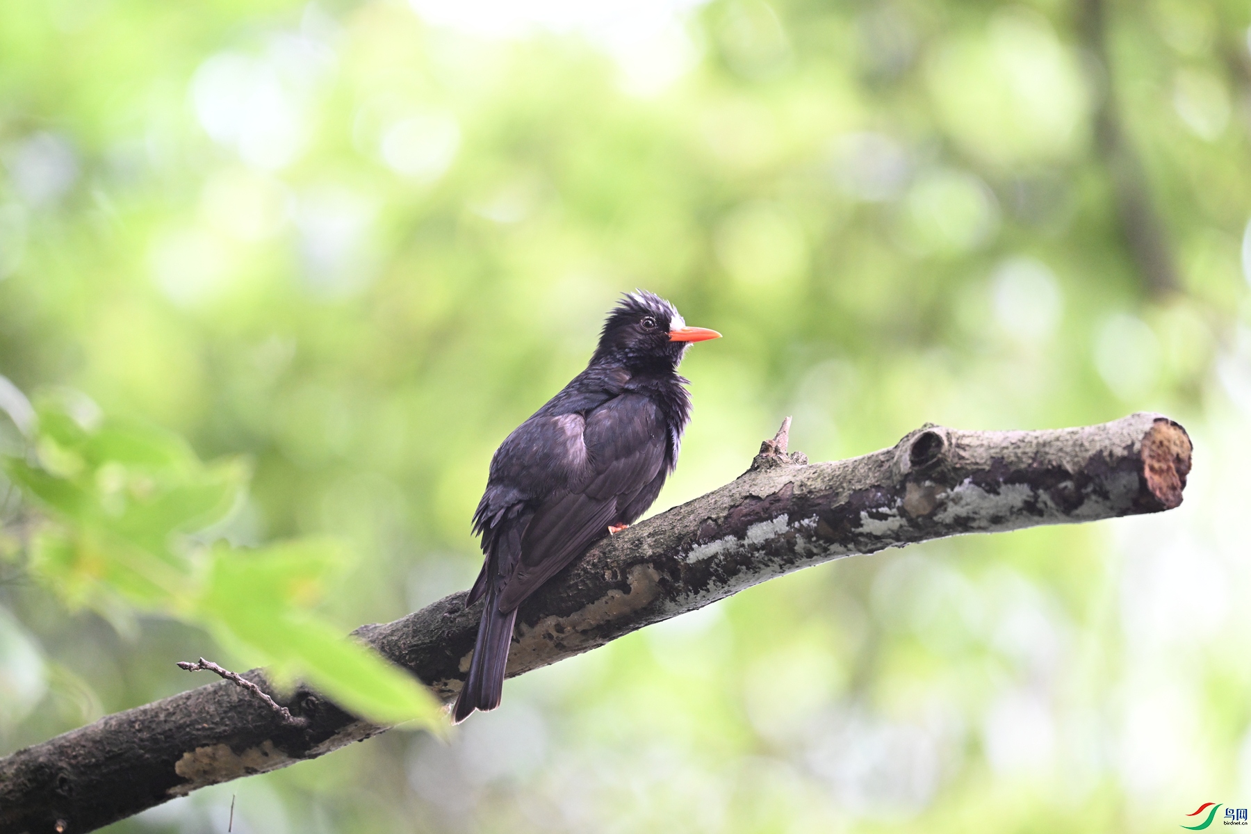 DSC_3836.JPG