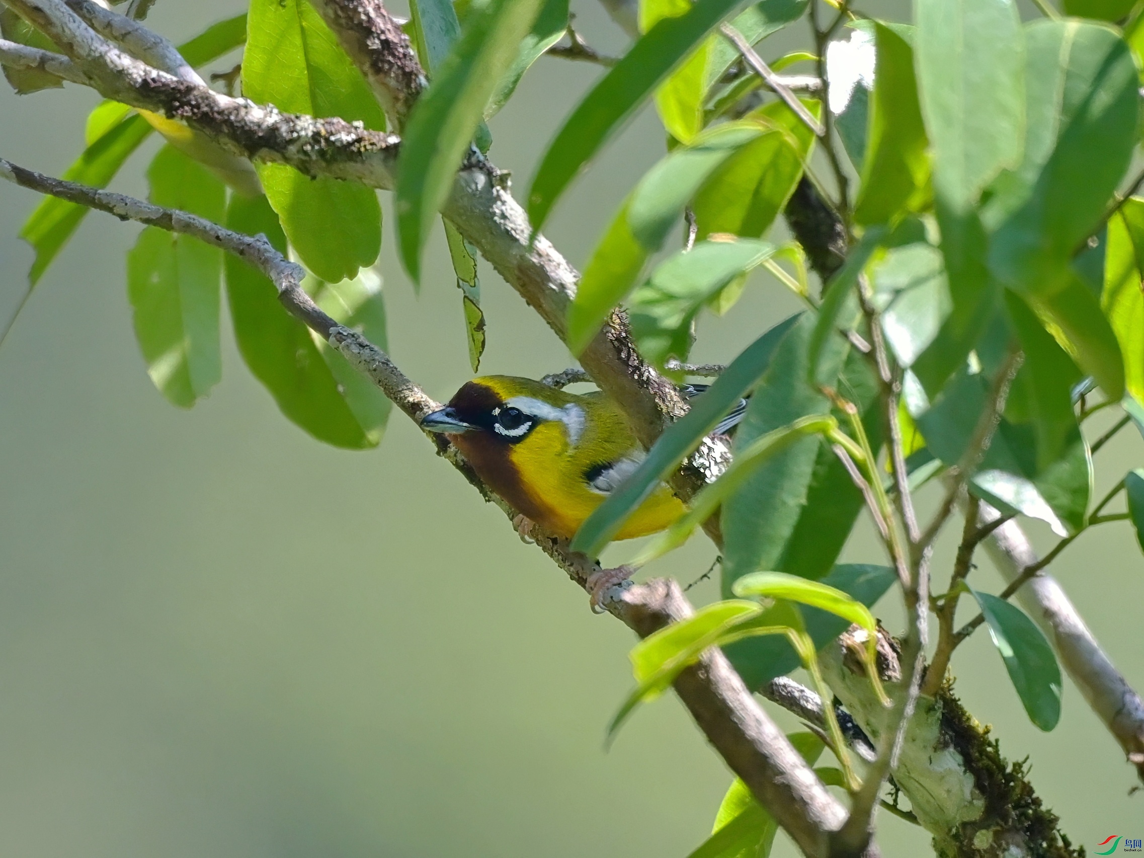 DSC_7285-topaz.JPG
