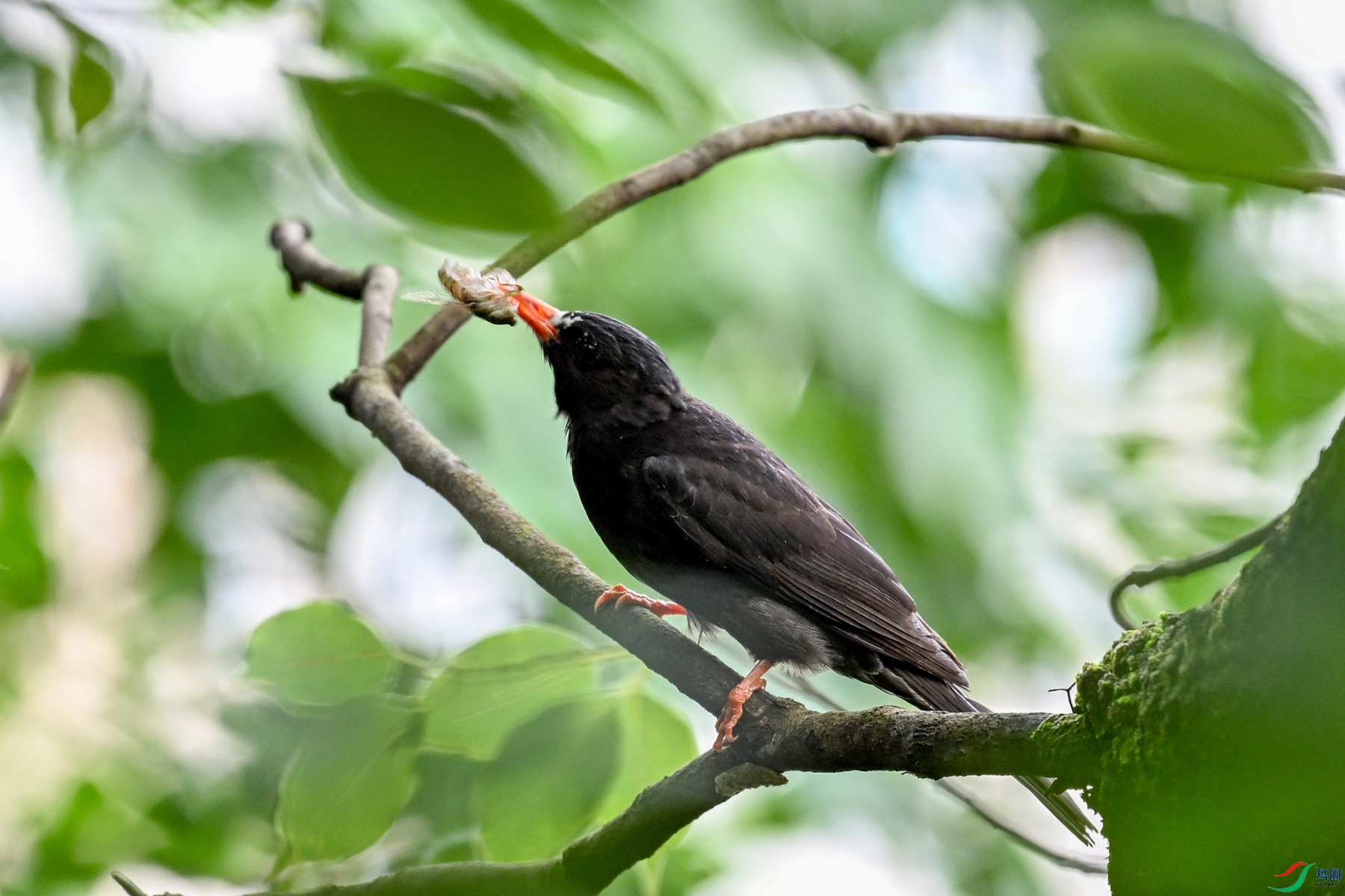 DSC_3845.JPG