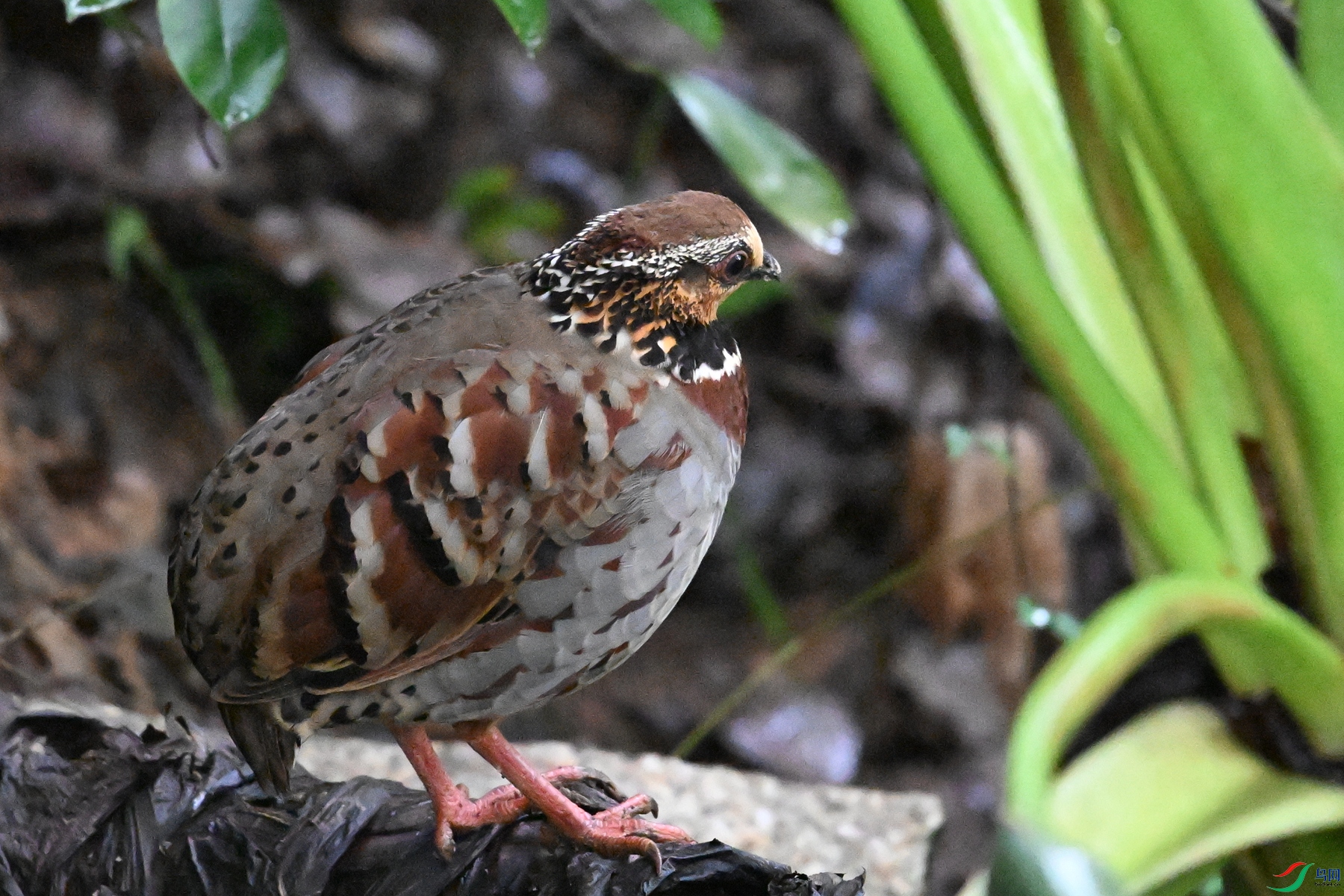 DSC_3541.JPG