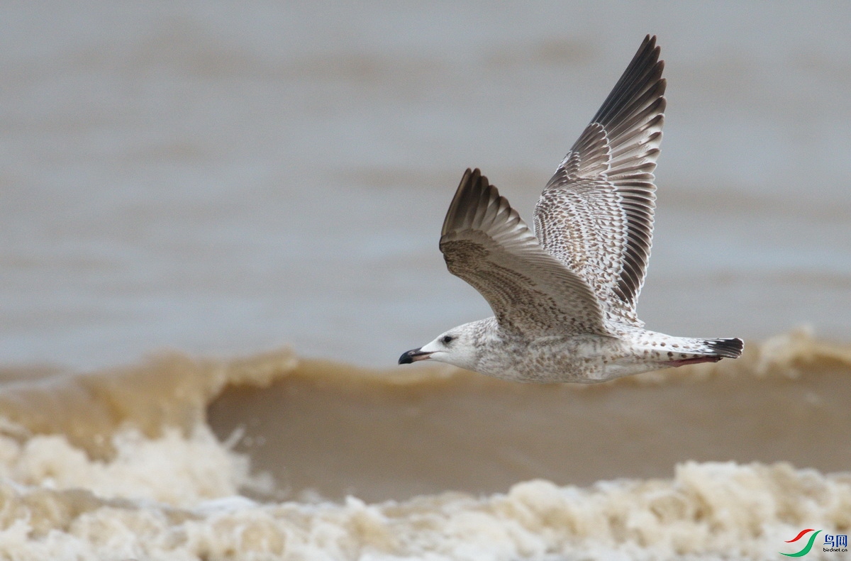 _DSC5434z_������С.jpg