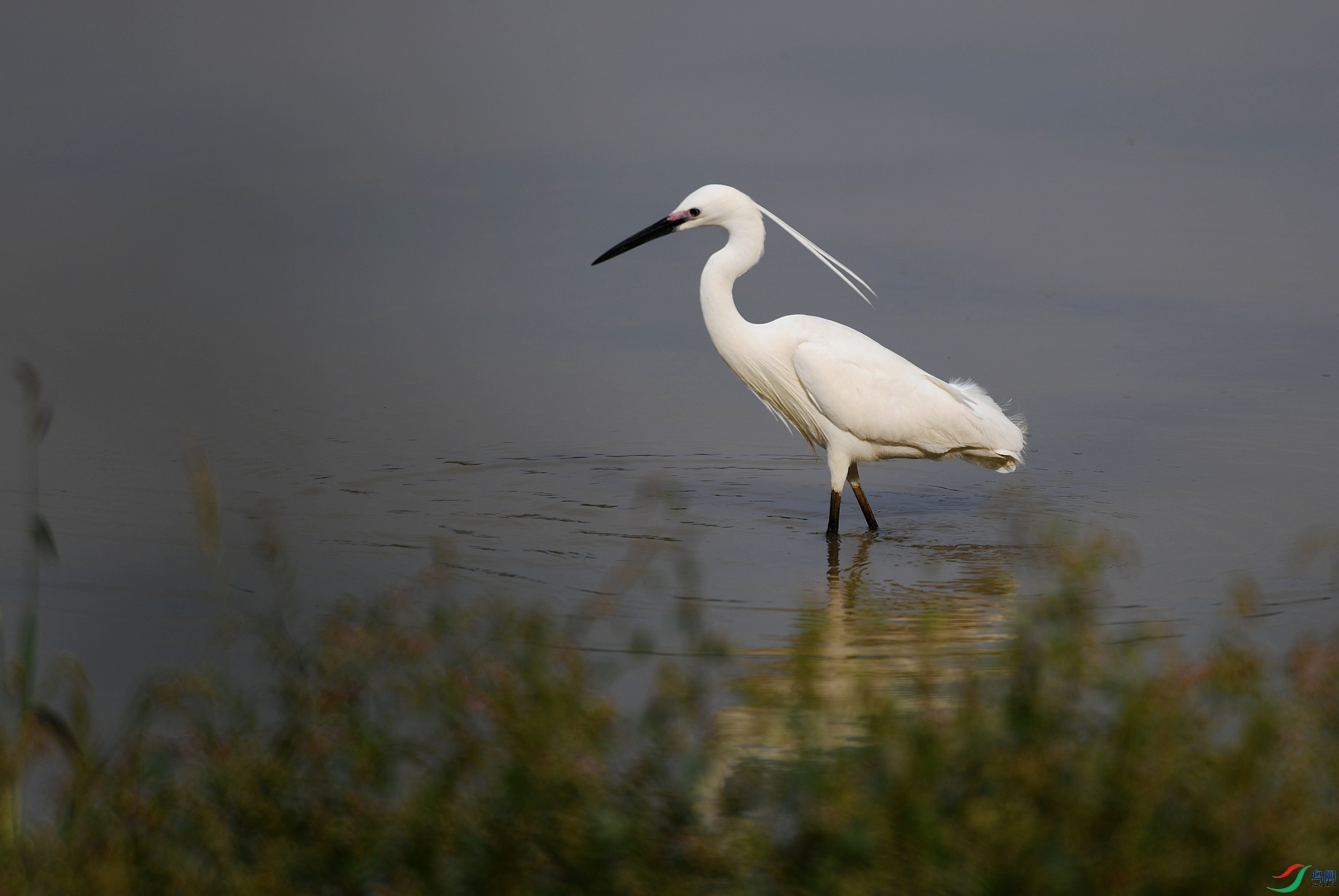 DSC_8356.jpg