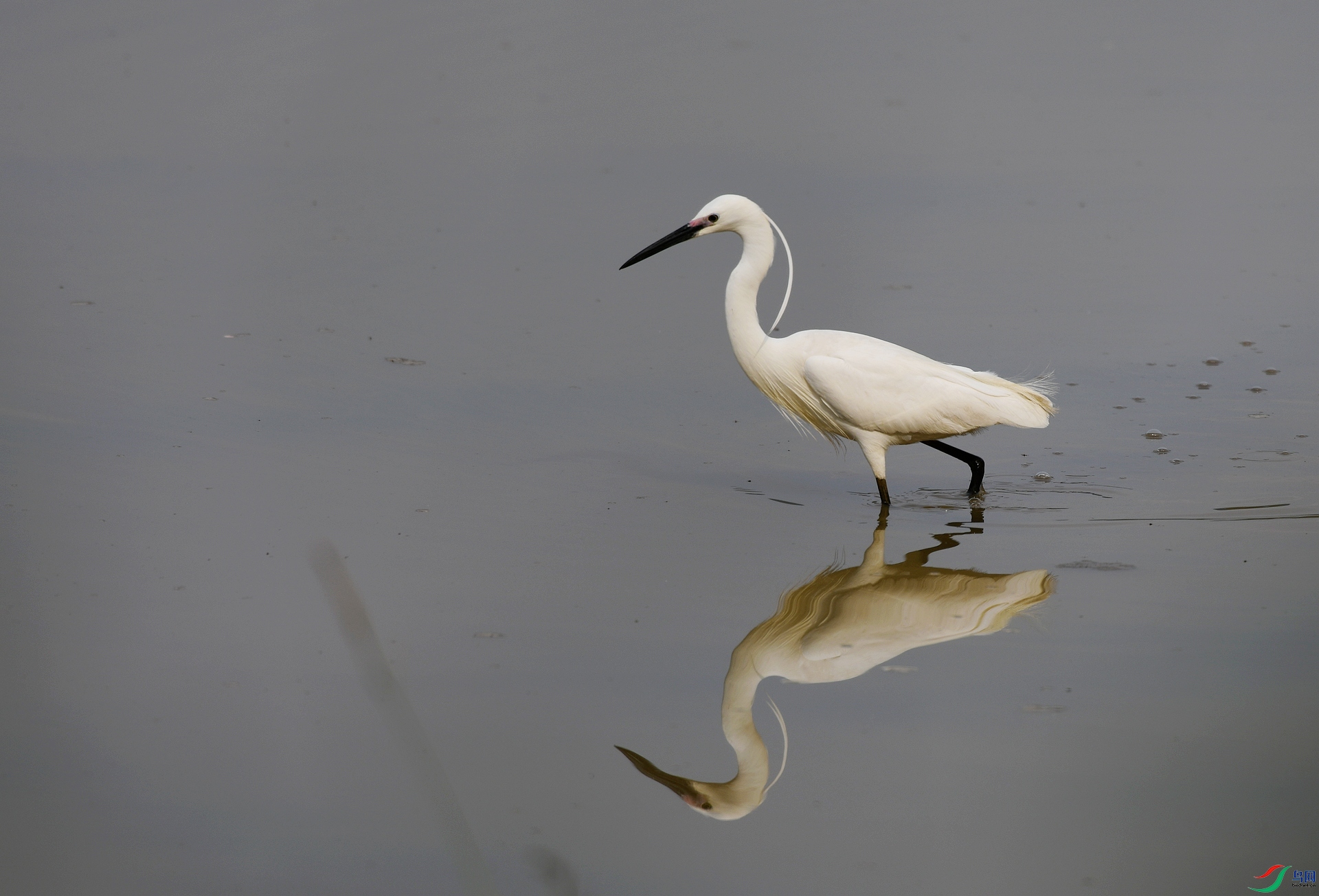 DSC_8431.jpg