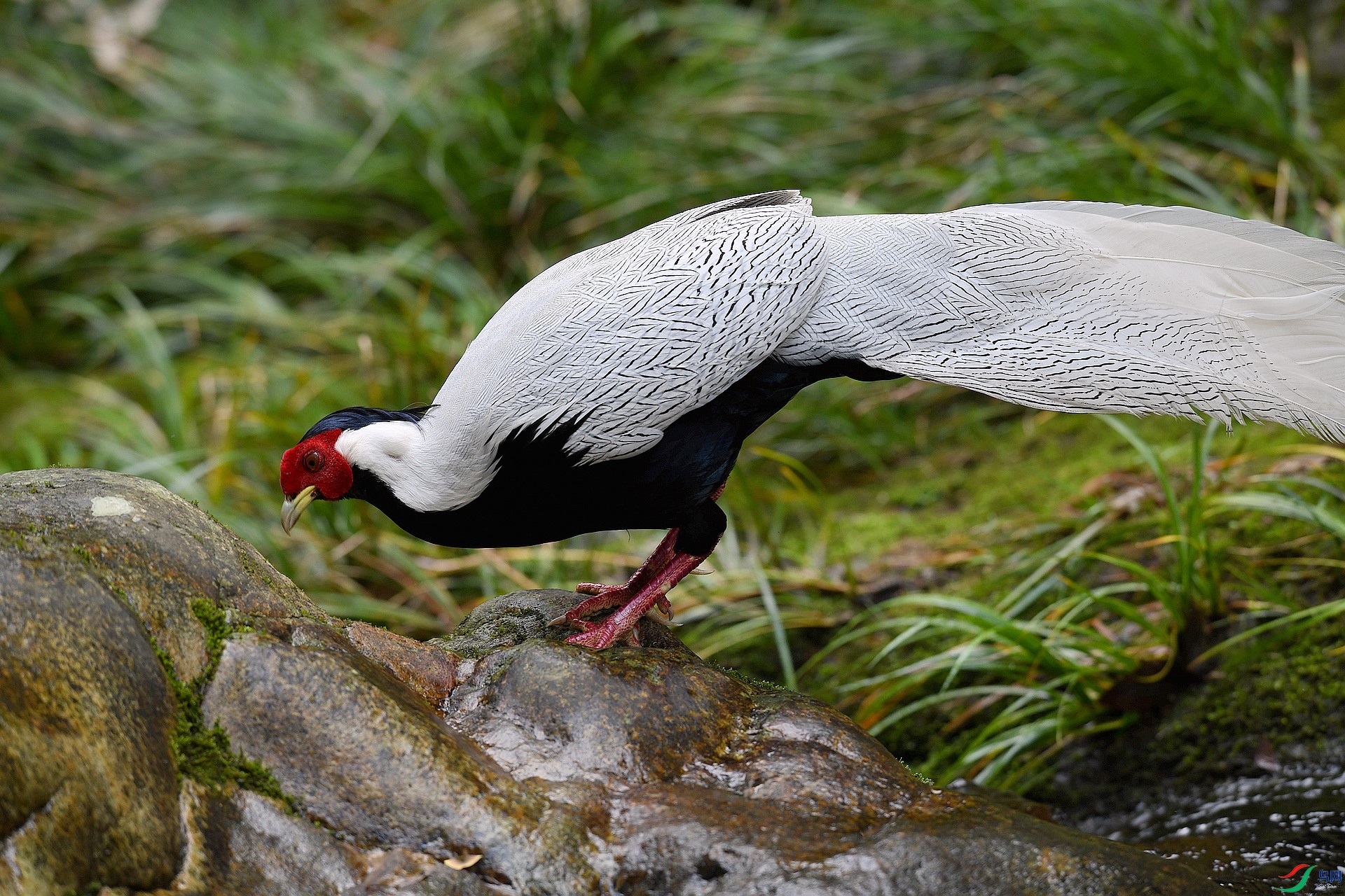 DSC_5633.jpg