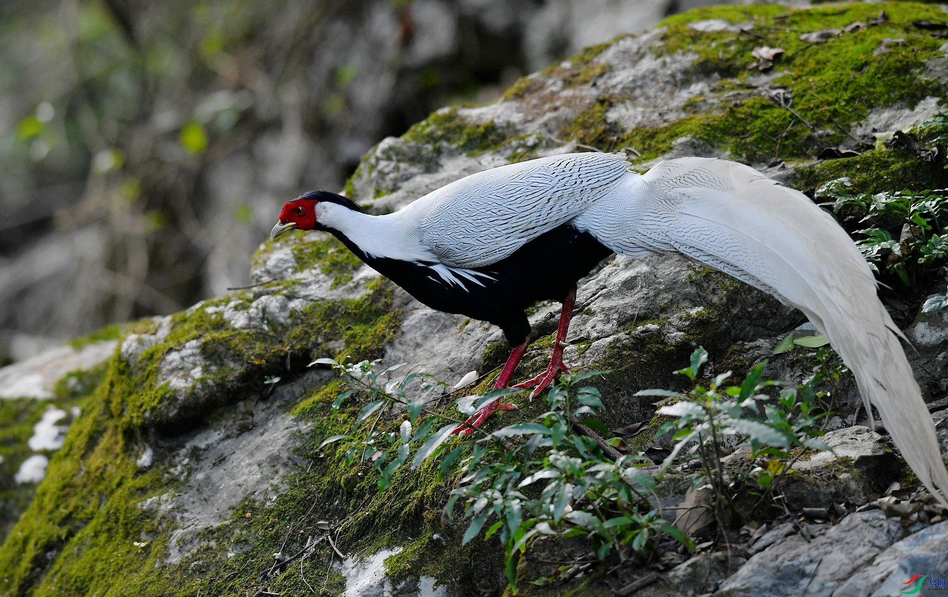 DSC_9312.jpg