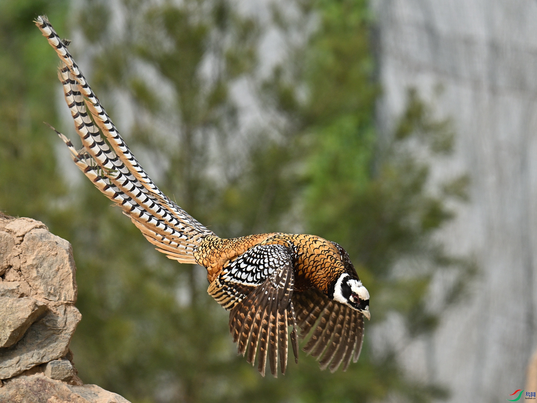 DSC_3954.JPG