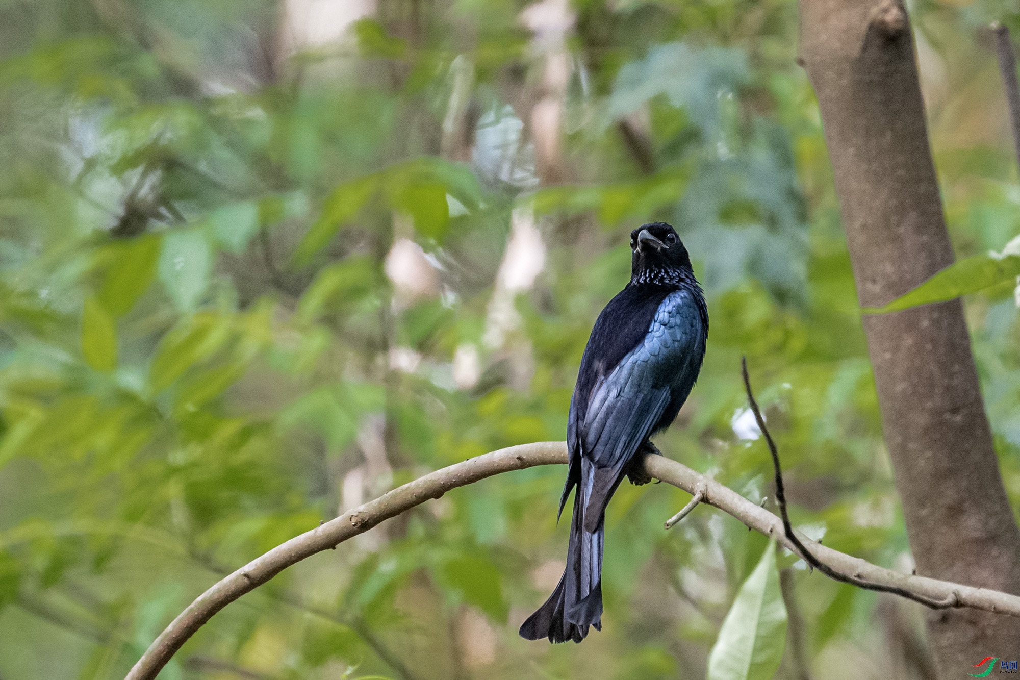 DSC_9613.jpg