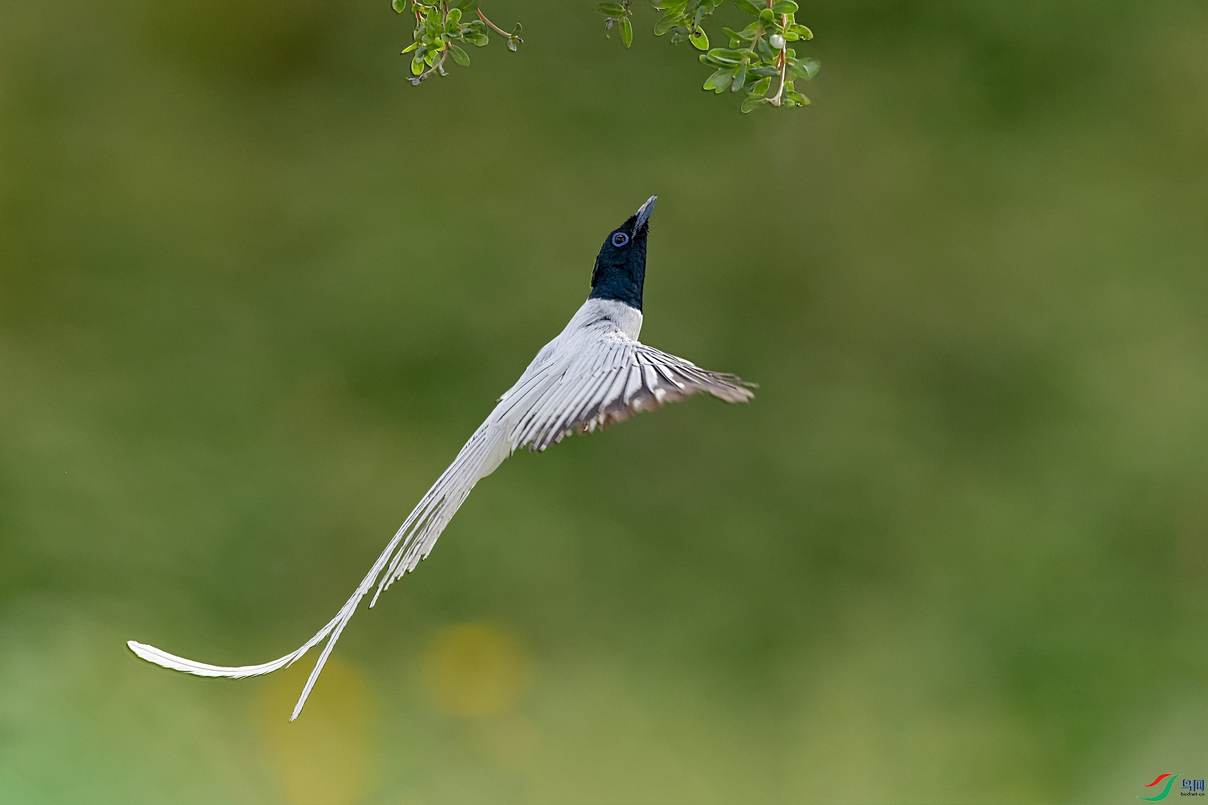 4DSC_6097_DxOa.jpg