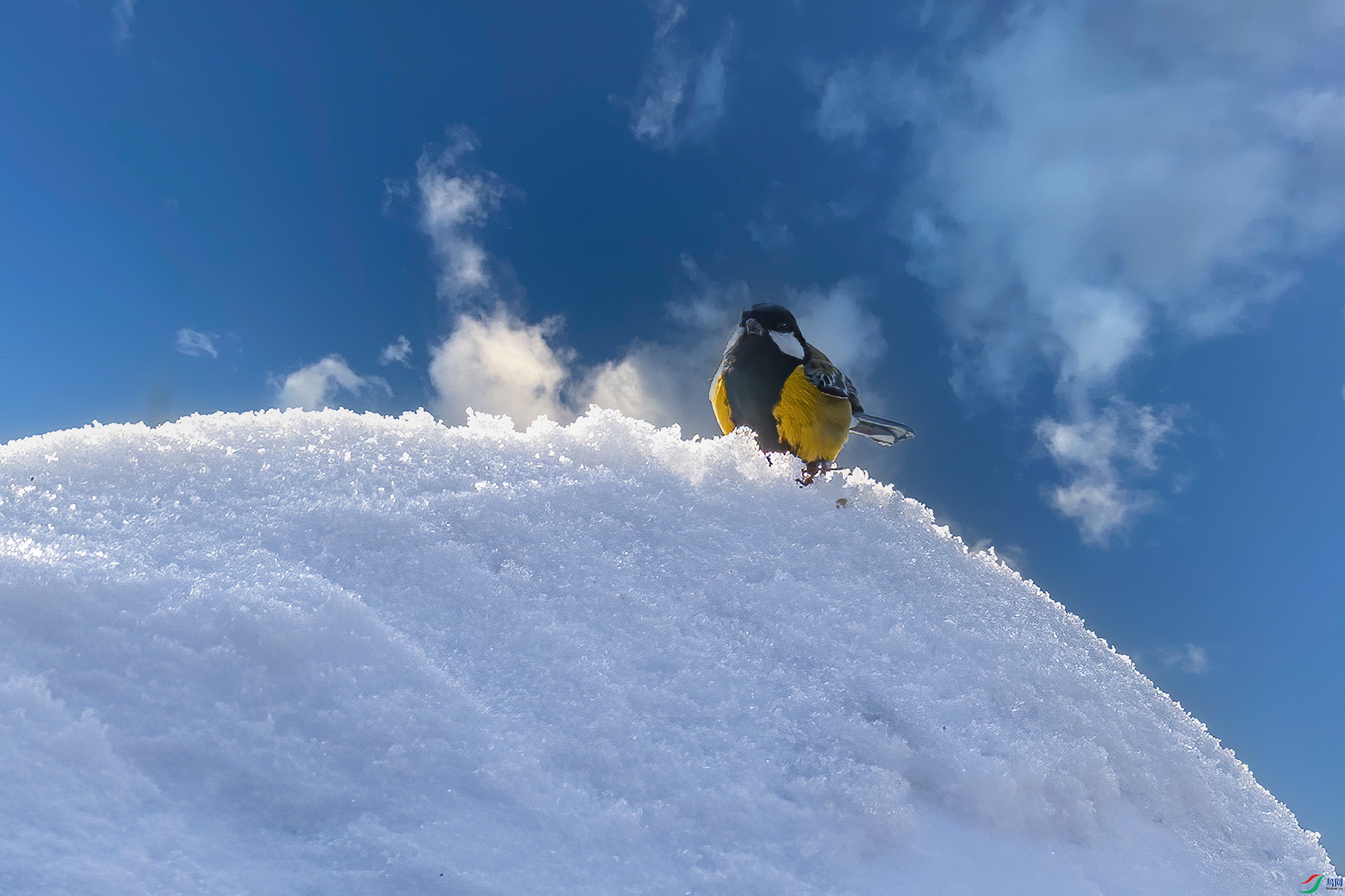 DSC_6848.jpg