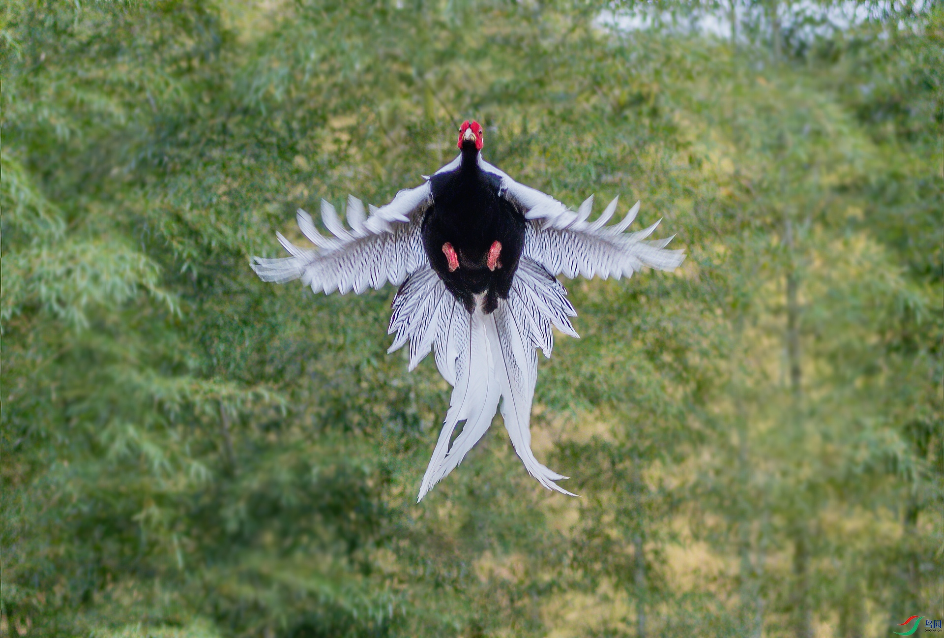 DSC_3474-1.jpg