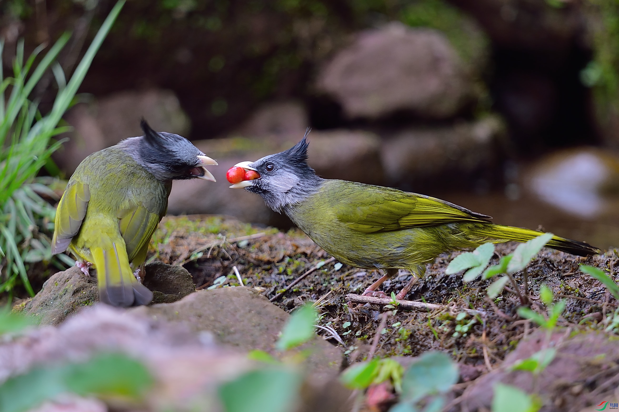 DSC_3667.JPG