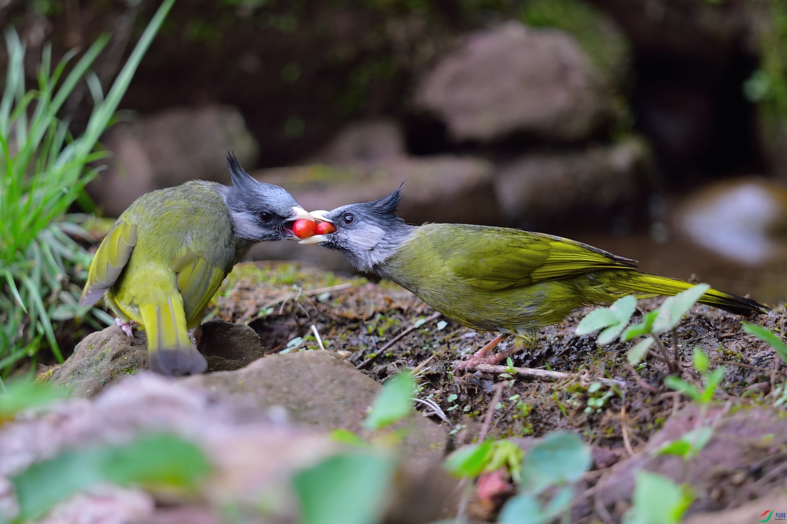 DSC_3670.JPG