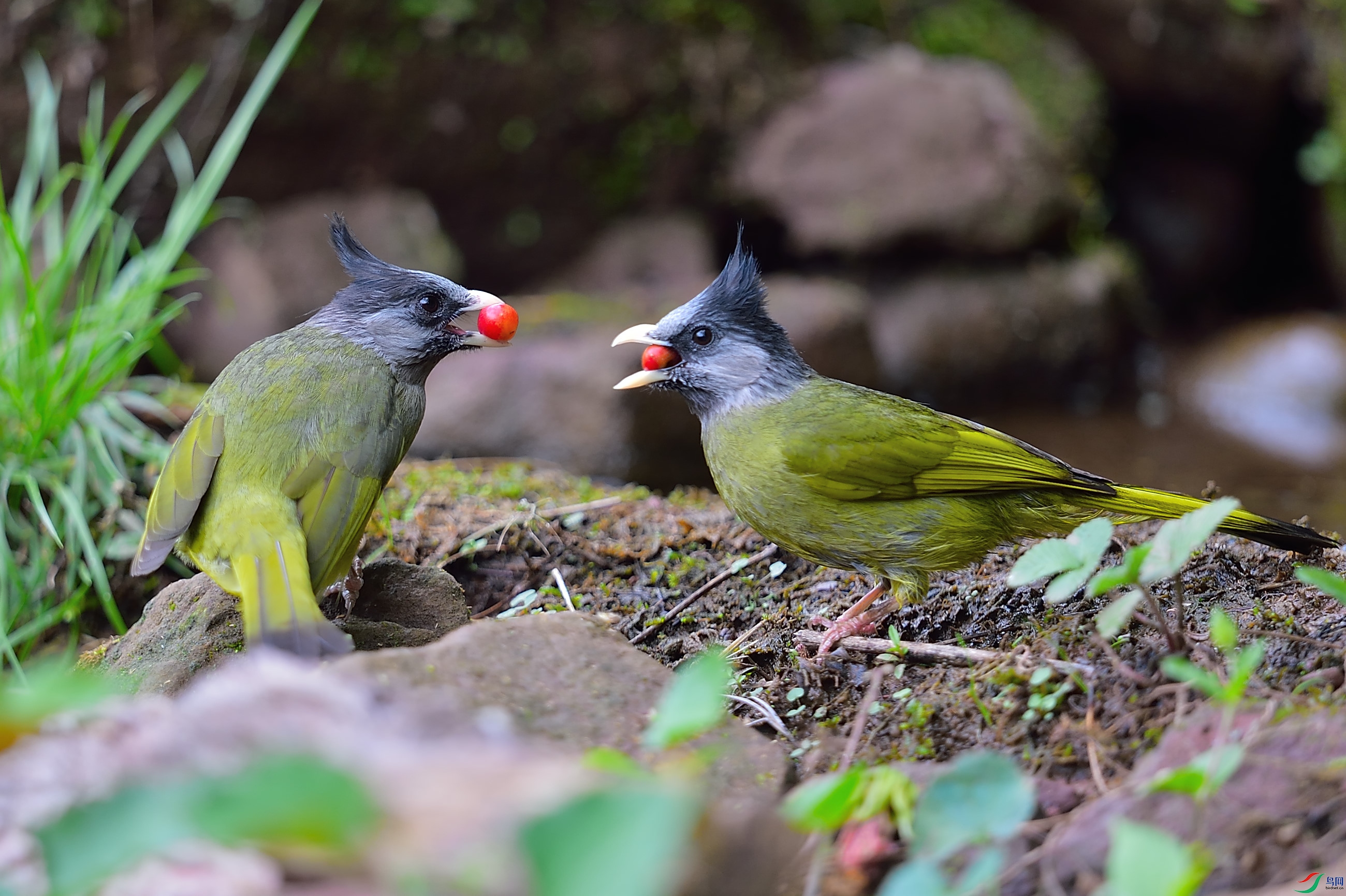 DSC_3674.JPG