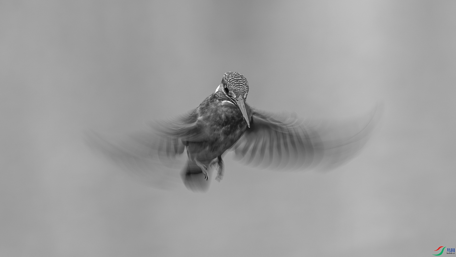 _16A1566-1-1.jpg