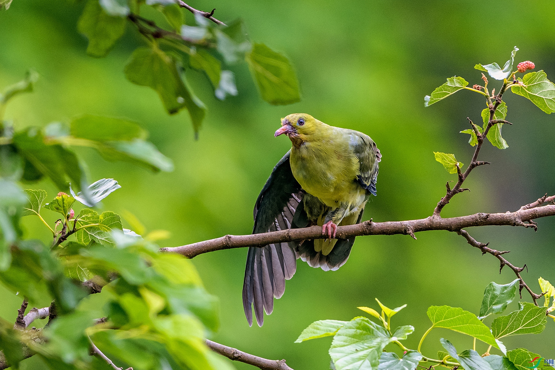 _AUU6923 Шβ���(25.7.8).jpg