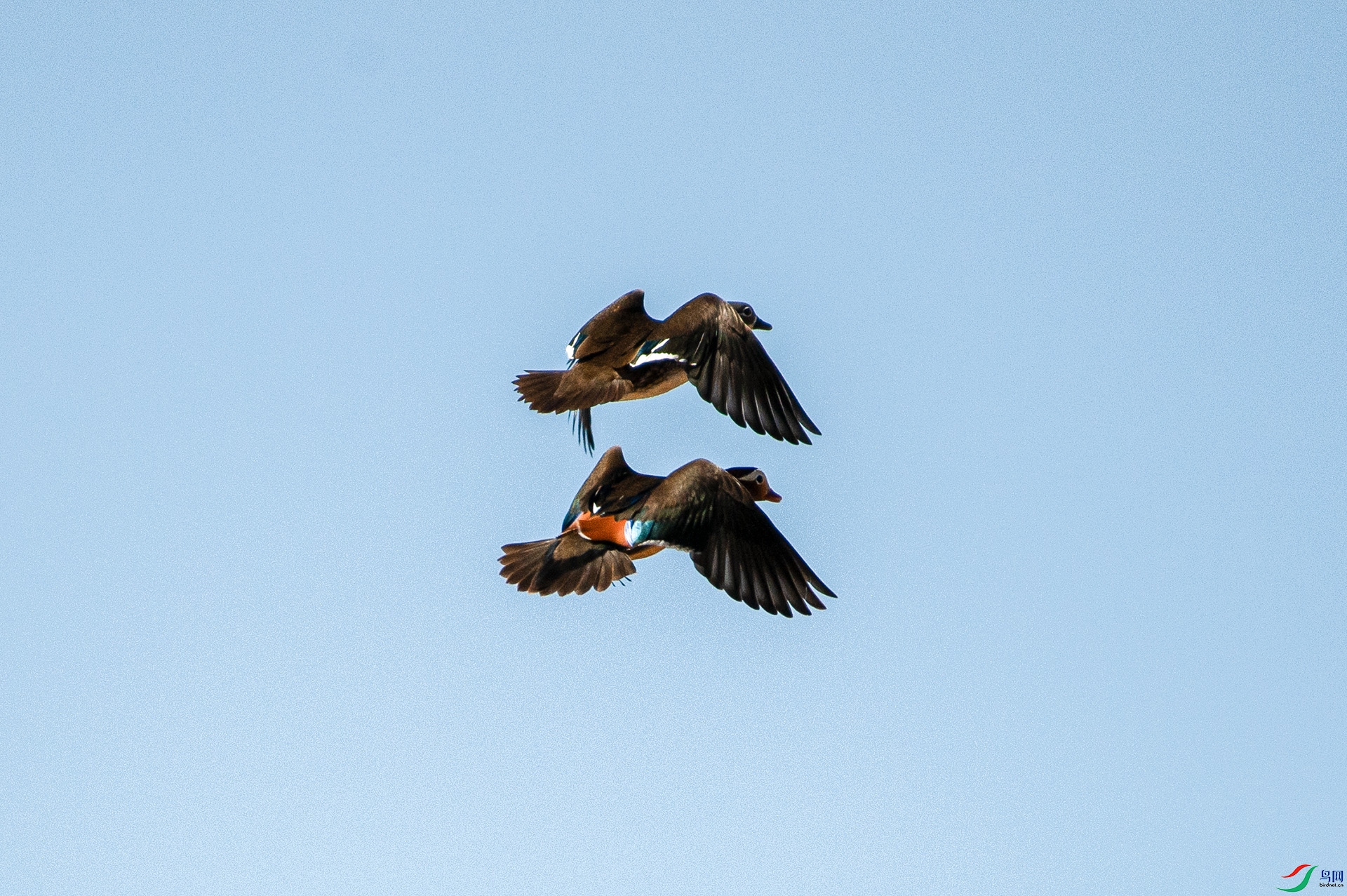 DSC_2124.jpg