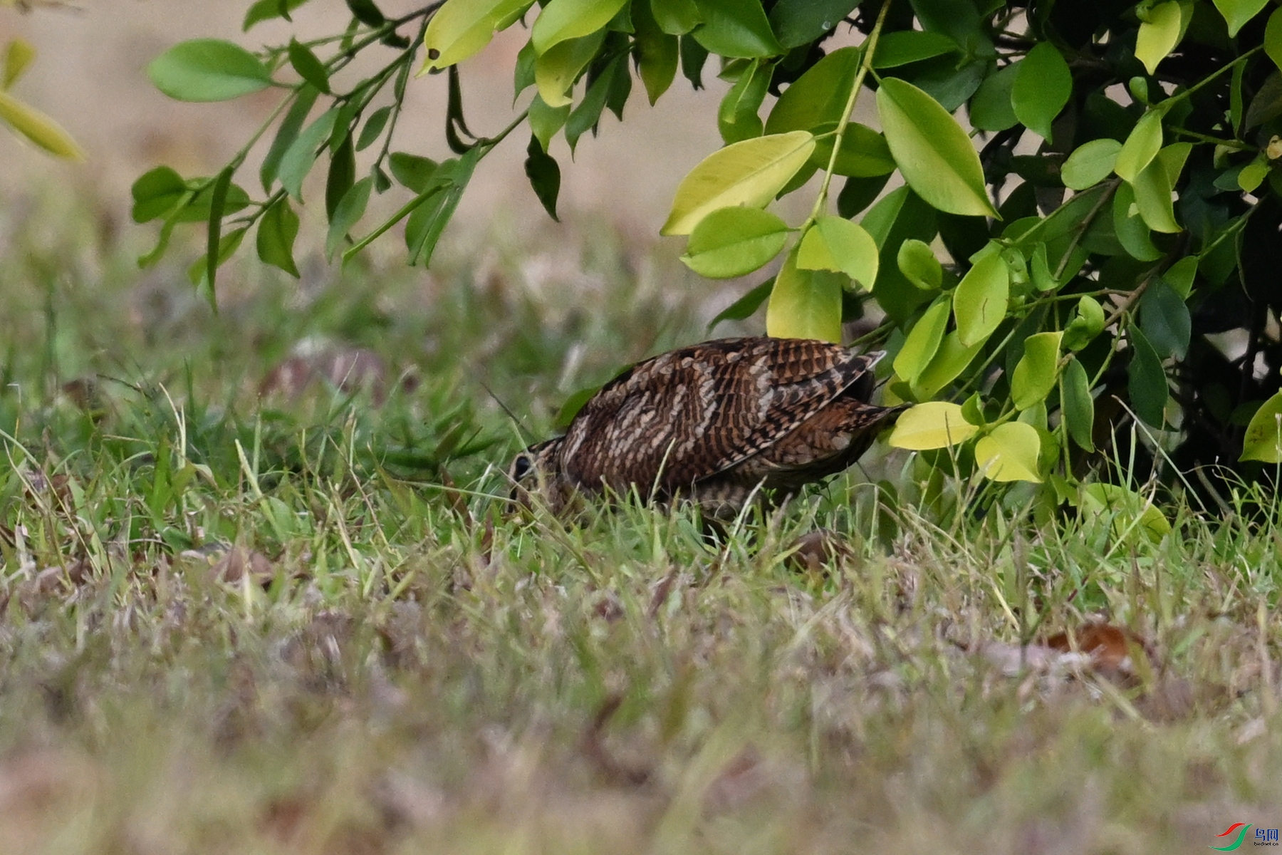 DSC_8355.JPG